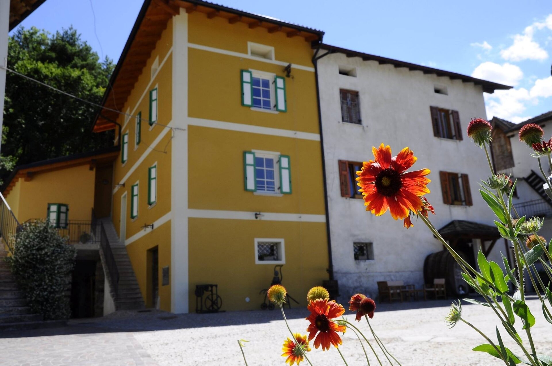 Content Dam Org 5 Images Full Rights Piana Rotaliana Shopping Cantine E Distillerie Cobelli Esterno Cobelli