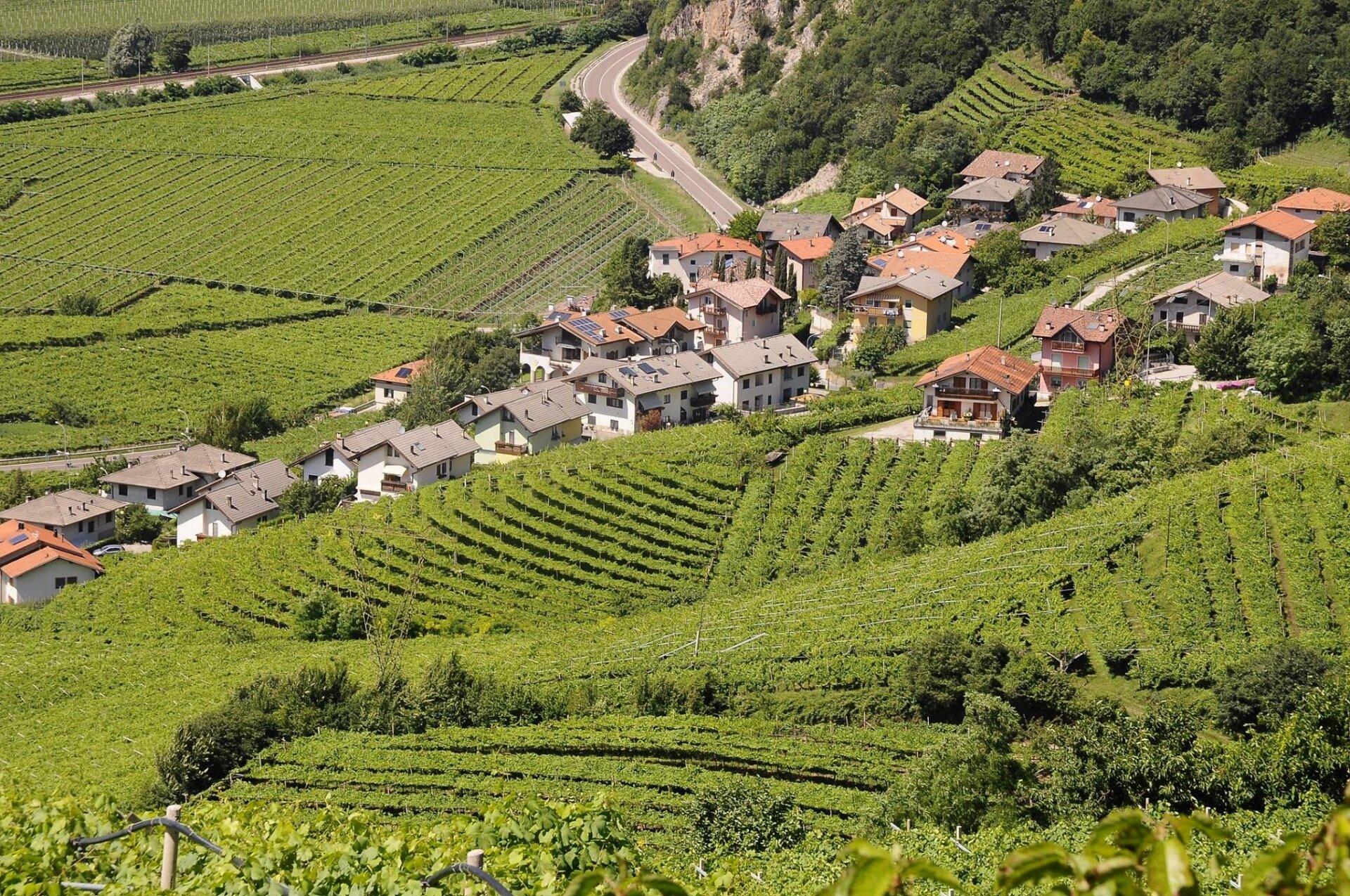 Content Dam Org 5 Images Full Rights Piana Rotaliana Shopping Cantine E Distillerie Cobelli Vigneti Cobelli