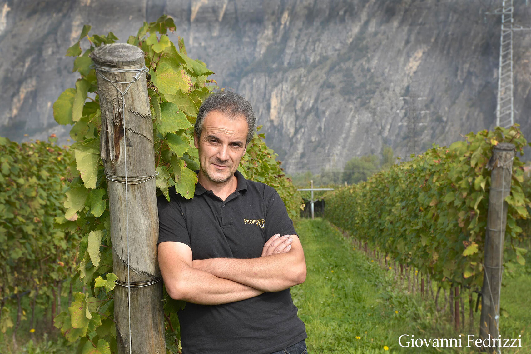 Fedrizzi Cipriano Winery