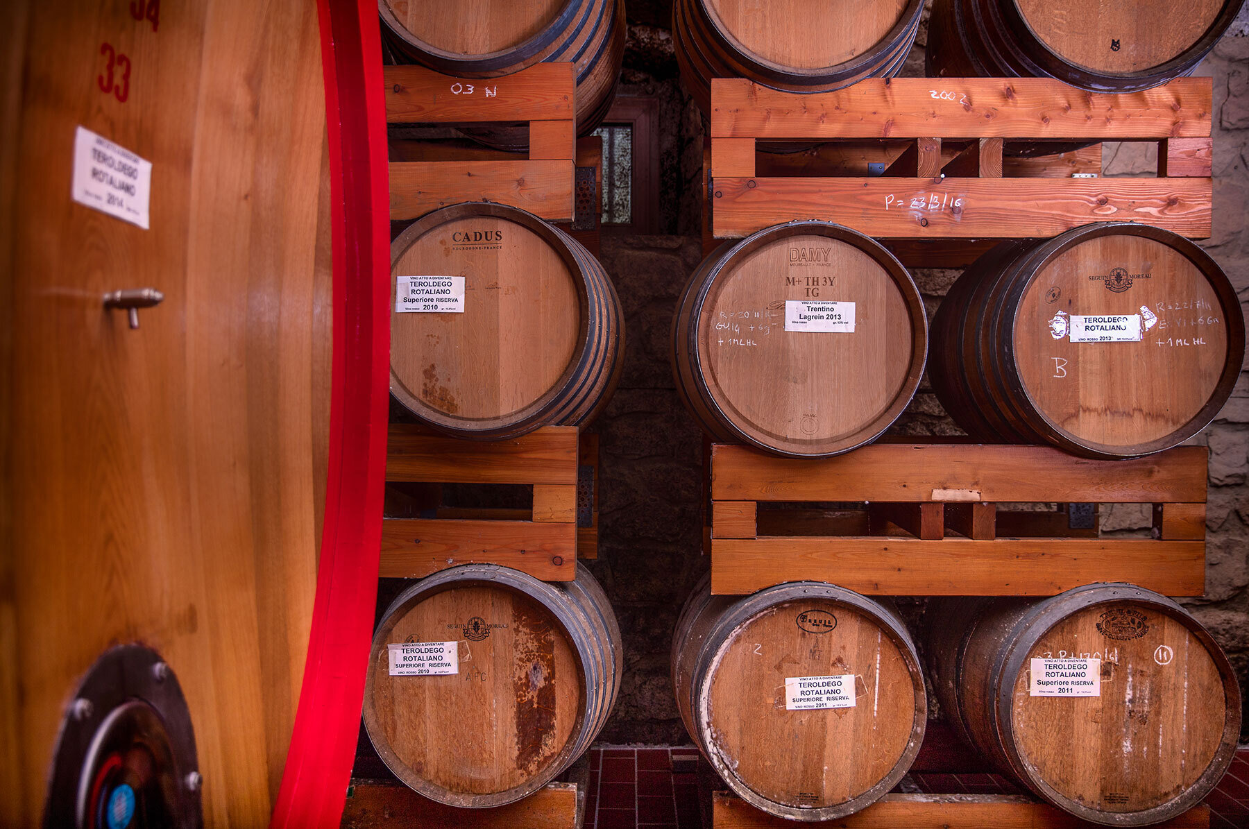 Content Dam Org 5 Images Full Rights Piana Rotaliana Shopping Cantine E Distillerie Fedrizzi Cipriano Fedrizzi Cipriano Vendemmia Piana Rotaliana