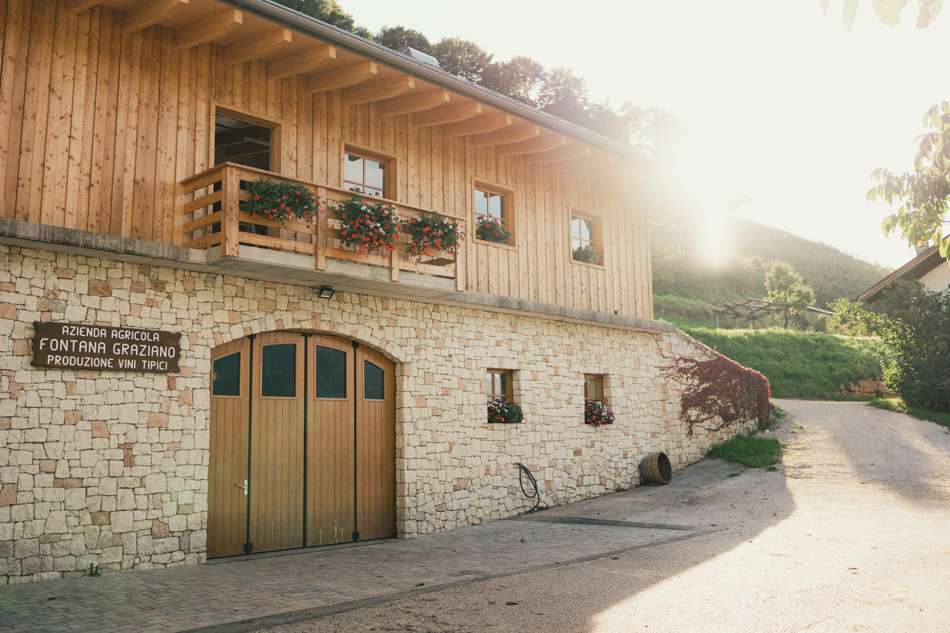 Content Dam Org 5 Images Full Rights Piana Rotaliana Shopping Cantine E Distillerie Fontana Graziano Az Agr Fontana Graziano Ph Mirko Zancanella 5