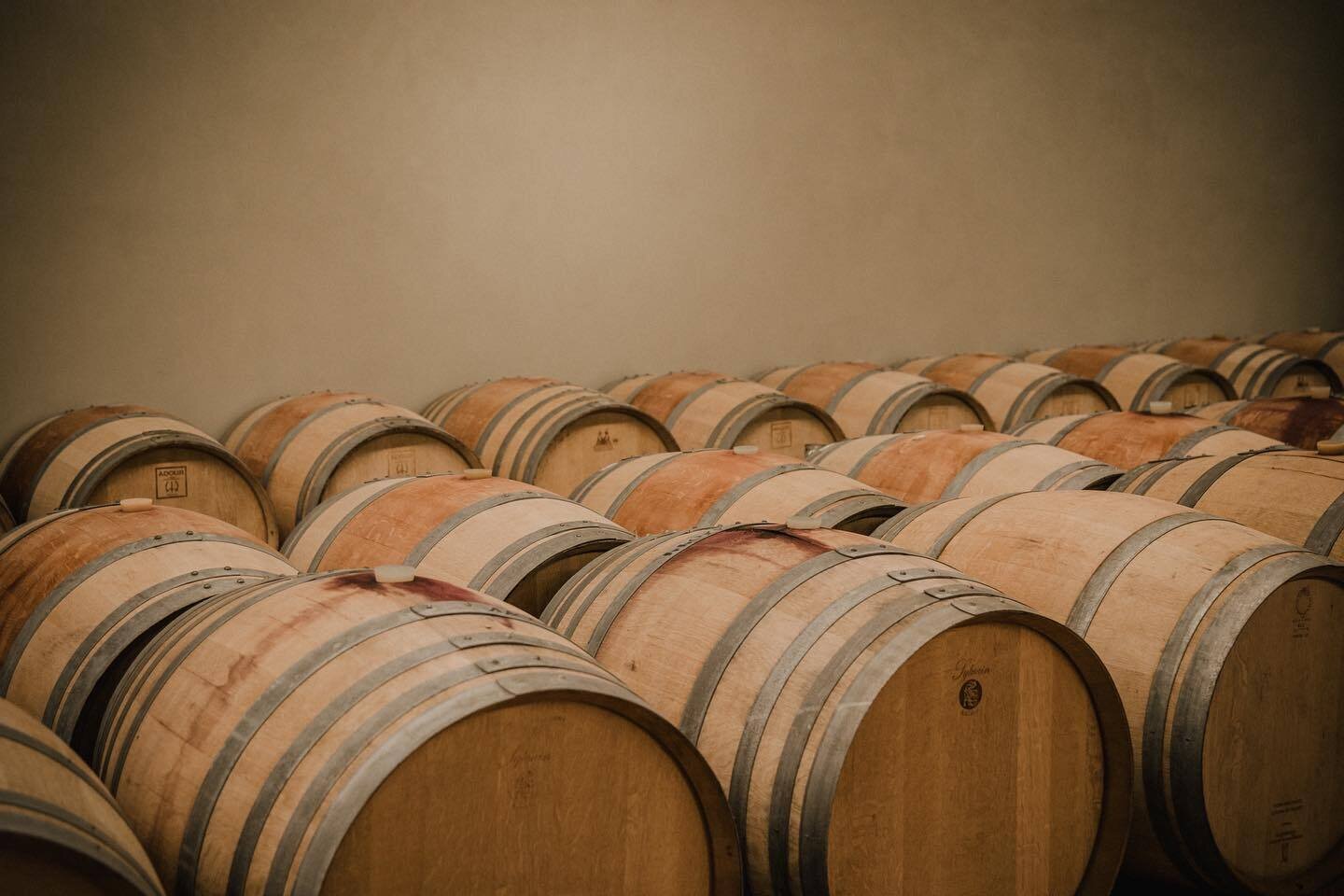 Content Dam Org 5 Images Full Rights Piana Rotaliana Shopping Cantine E Distillerie Fontana Graziano Fontana Graziano Piana Rotaliana