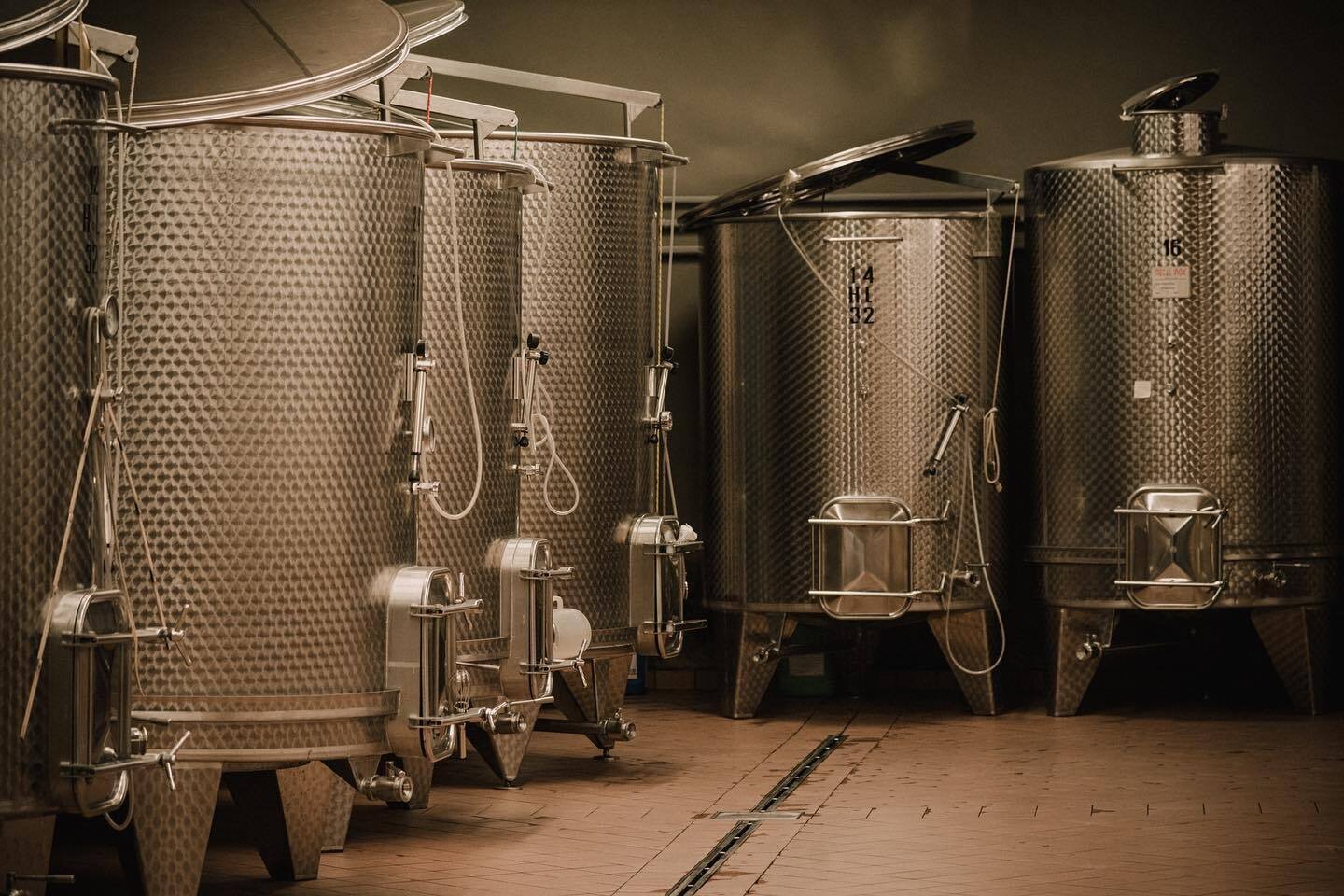 Content Dam Org 5 Images Full Rights Piana Rotaliana Shopping Cantine E Distillerie Fontana Graziano Fontana Graziano 2 Piana Rotaliana