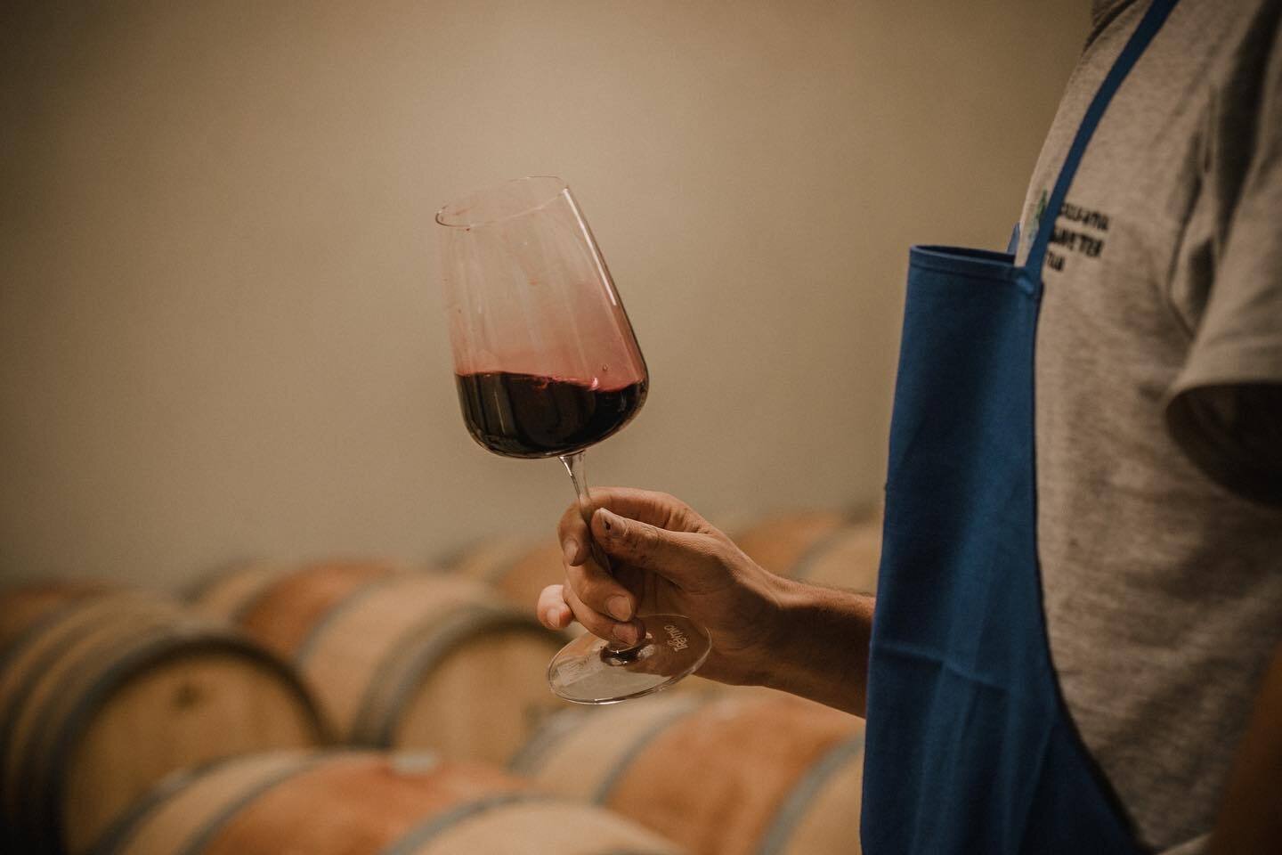 Content Dam Org 5 Images Full Rights Piana Rotaliana Shopping Cantine E Distillerie Fontana Graziano Fontana Graziano 3 Piana Rotaliana