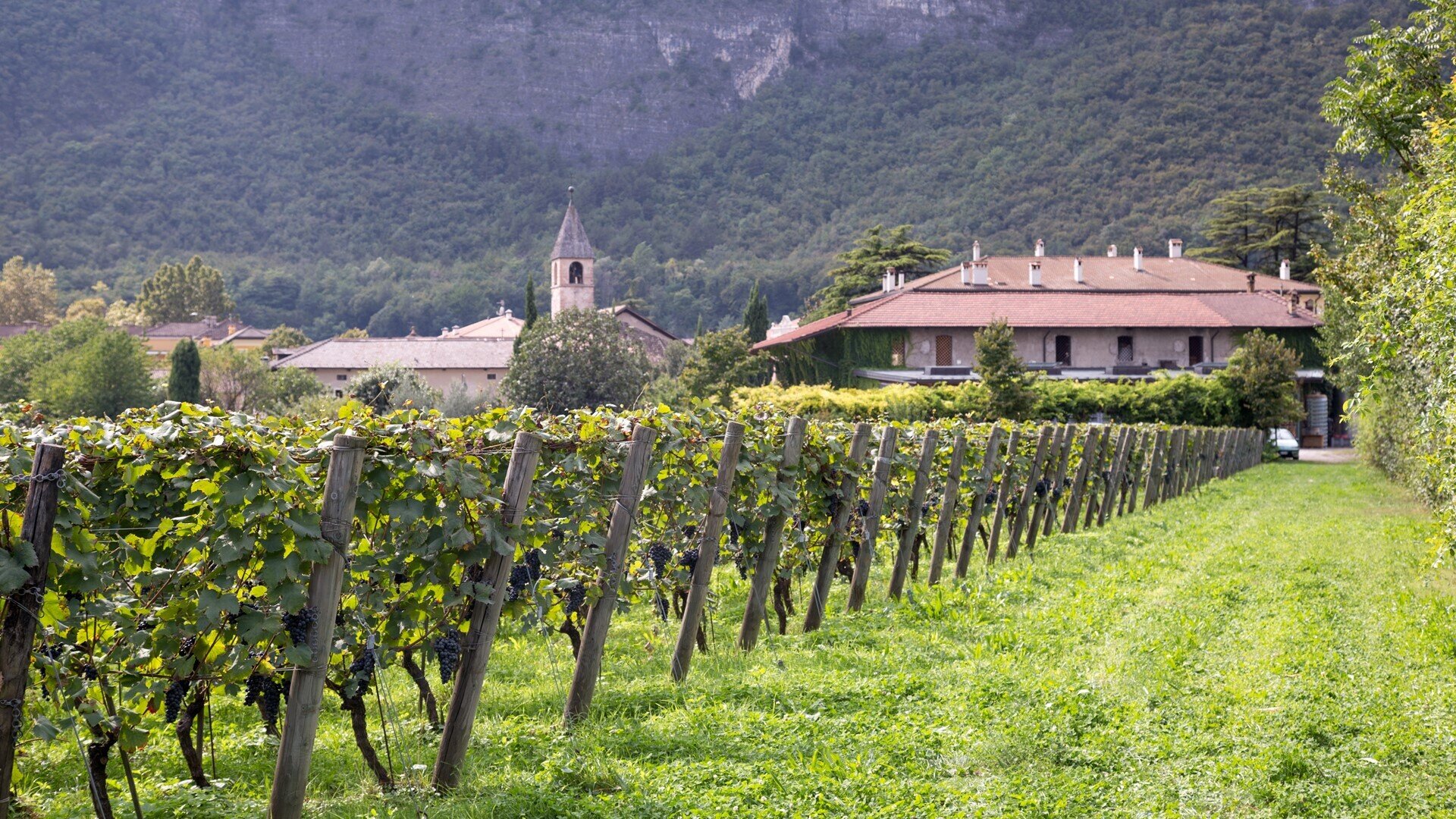 Foradori Winery