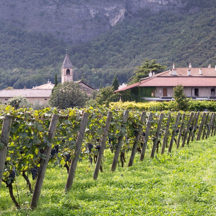 Foradori Winery
