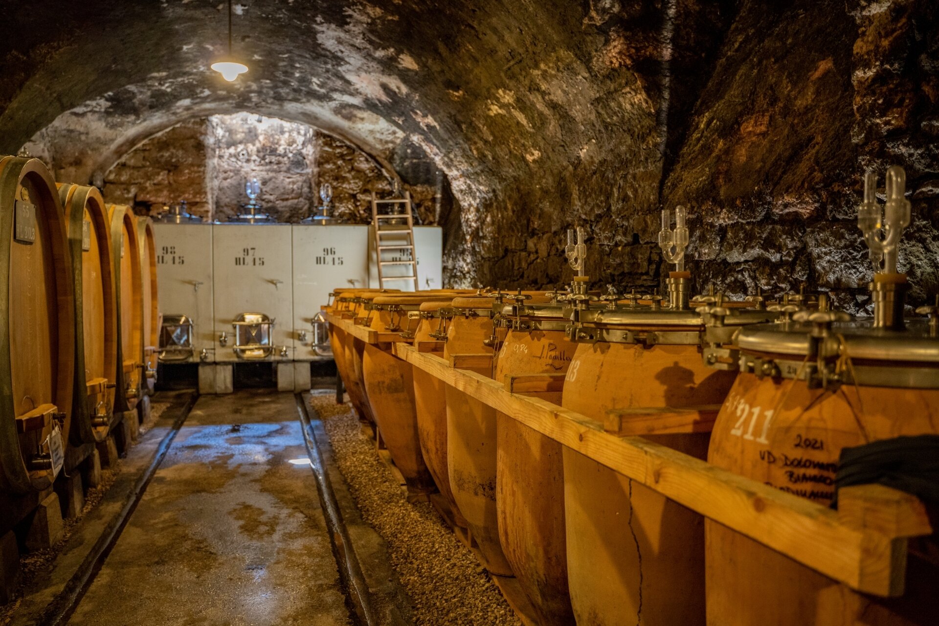 Content Dam Org 5 Images Full Rights Piana Rotaliana Shopping Cantine E Distillerie Azienda Agricola Foradori 2021 Ph Giorgio Monticelli 50