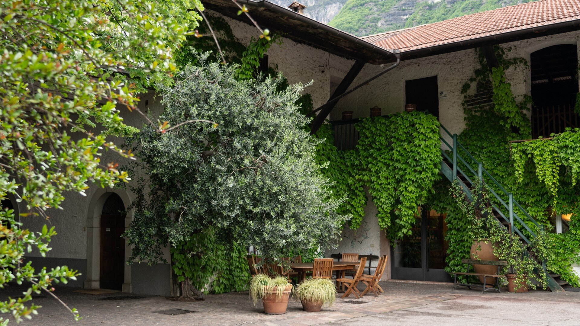 Content Dam Org 5 Images Full Rights Piana Rotaliana Shopping Cantine E Distillerie Azienda Agricola Foradori Foradori Rotaliana Aringastudio