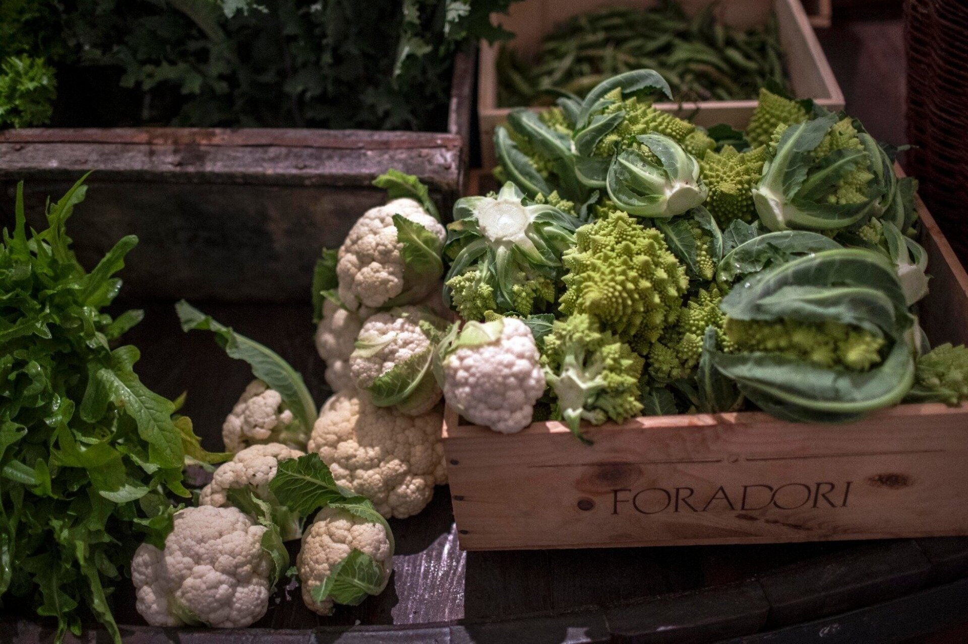 Content Dam Org 5 Images Full Rights Piana Rotaliana Shopping Cantine E Distillerie Azienda Agricola Foradori Foradori Cantina 2