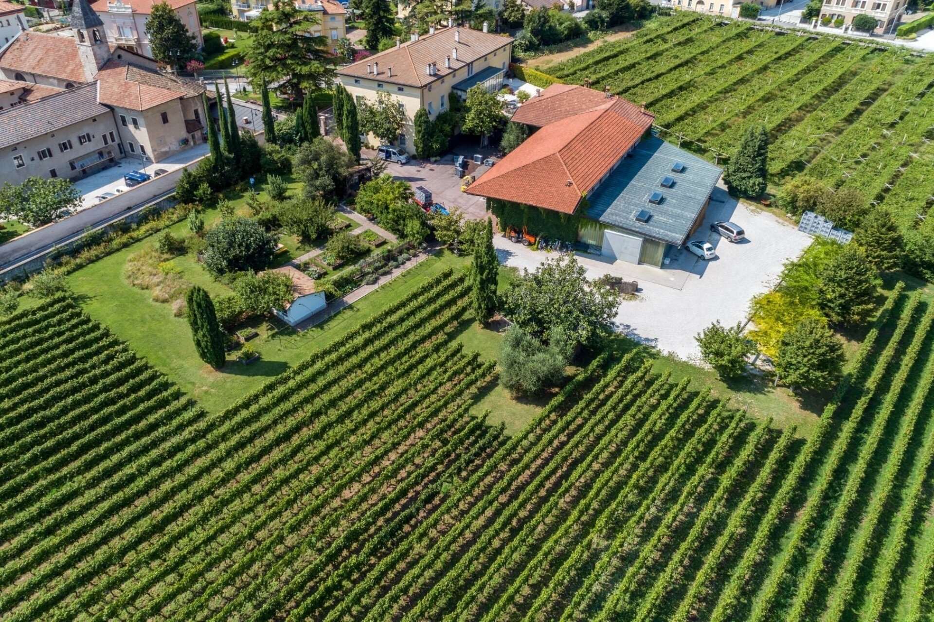 Content Dam Org 5 Images Full Rights Piana Rotaliana Shopping Cantine E Distillerie Azienda Agricola Foradori Foradori Cantina 3