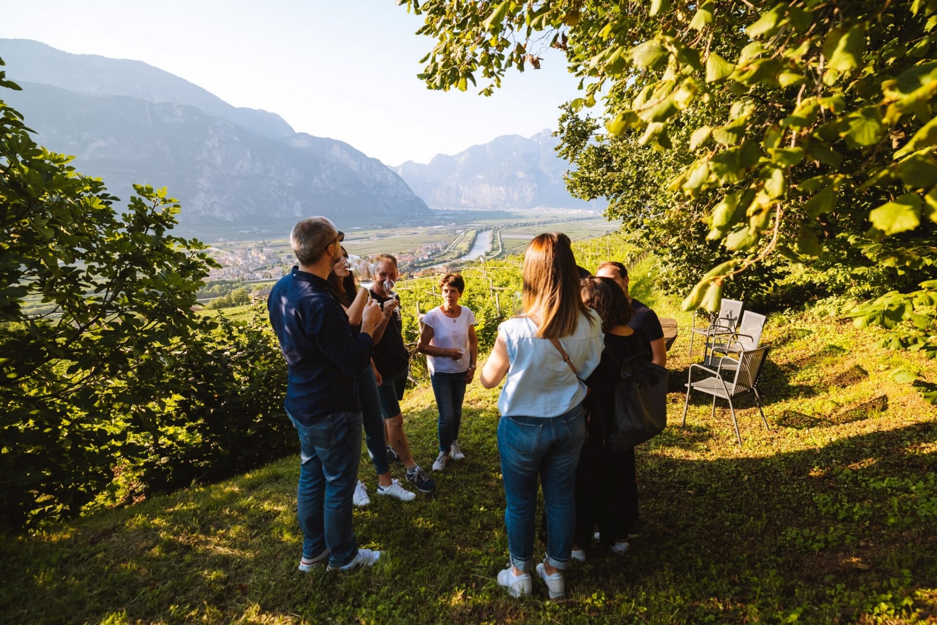 Content Dam Org 5 Images Full Rights Piana Rotaliana Shopping Cantine E Distillerie Maso Grener 2022 Maso Grener Ph Nicola Cagol 4