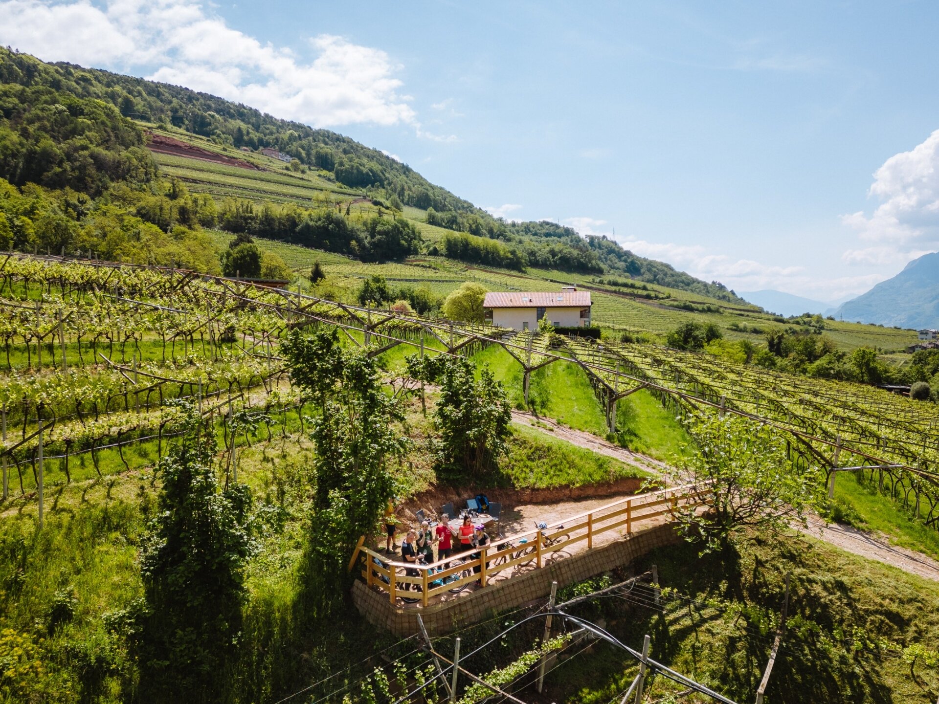 Content Dam Org 5 Images Full Rights Piana Rotaliana Shopping Cantine E Distillerie Maso Grener 2023 05 04 Giro Del Vino 50 Ph Nicola Cagol 1