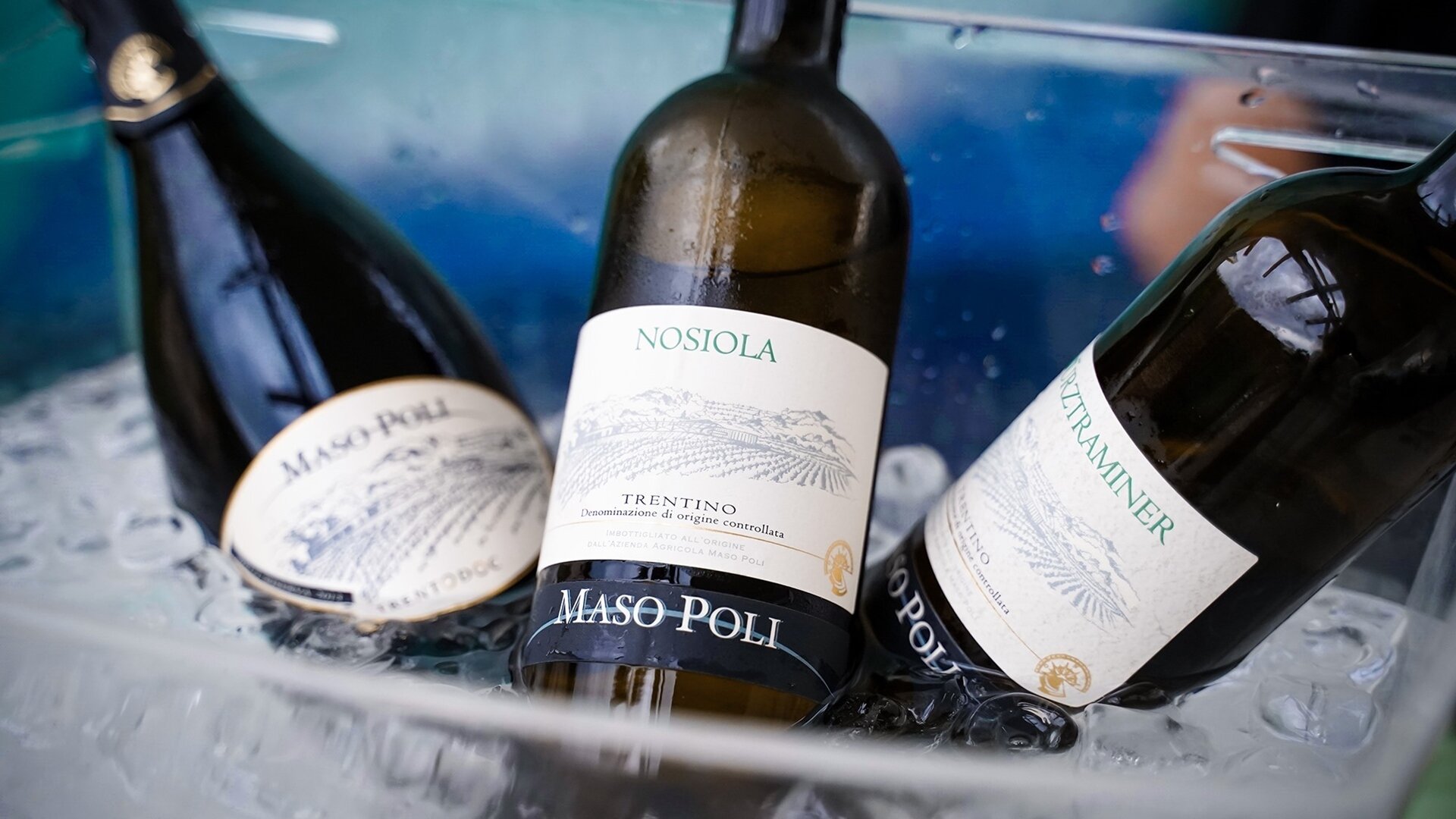 Maso Poli Winery