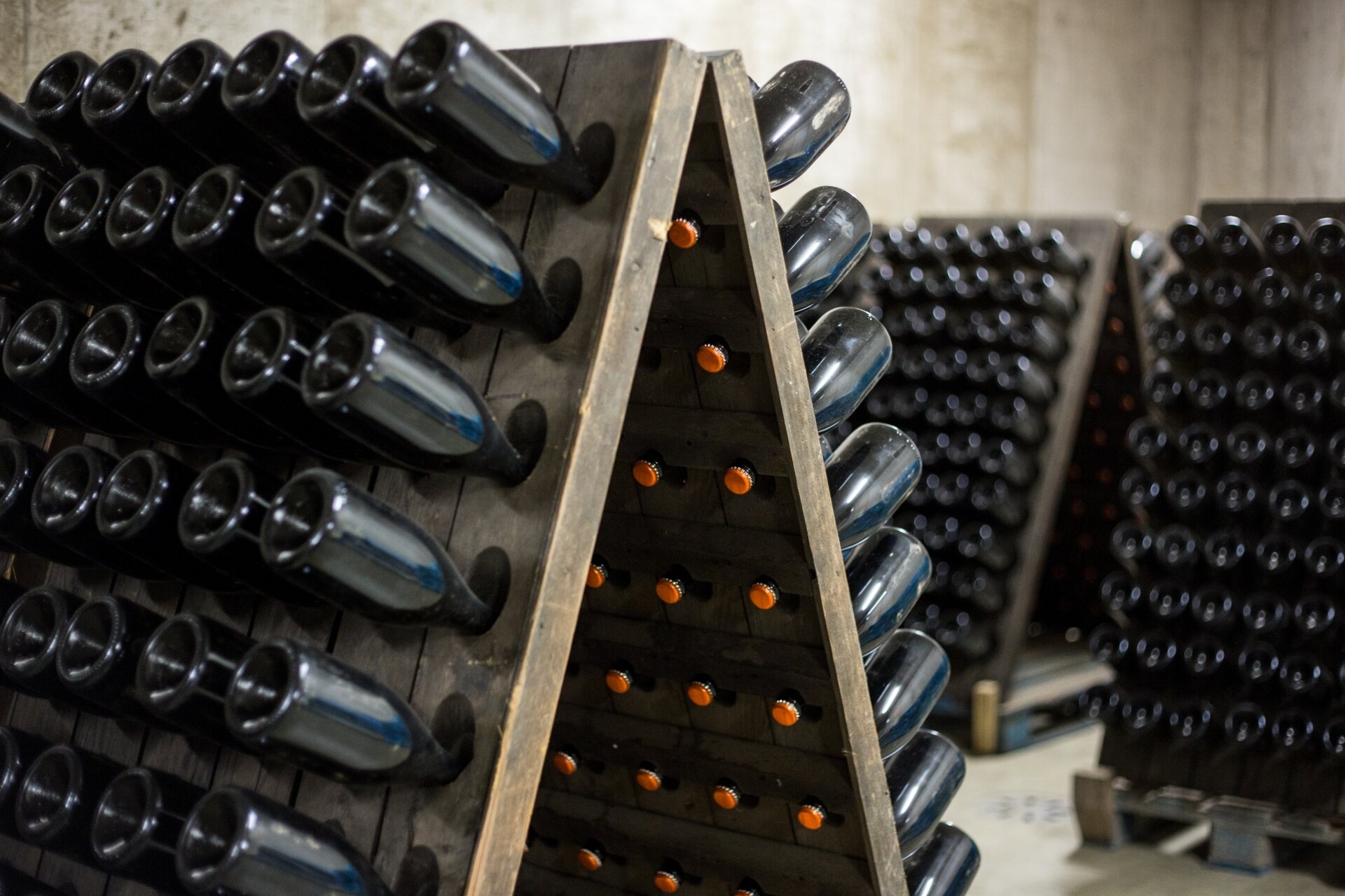 Content Dam Org 5 Images Full Rights Piana Rotaliana Shopping Cantine E Distillerie Maso Poli 2018 12 Natale In Cantina Ph Alfredo Croce 33