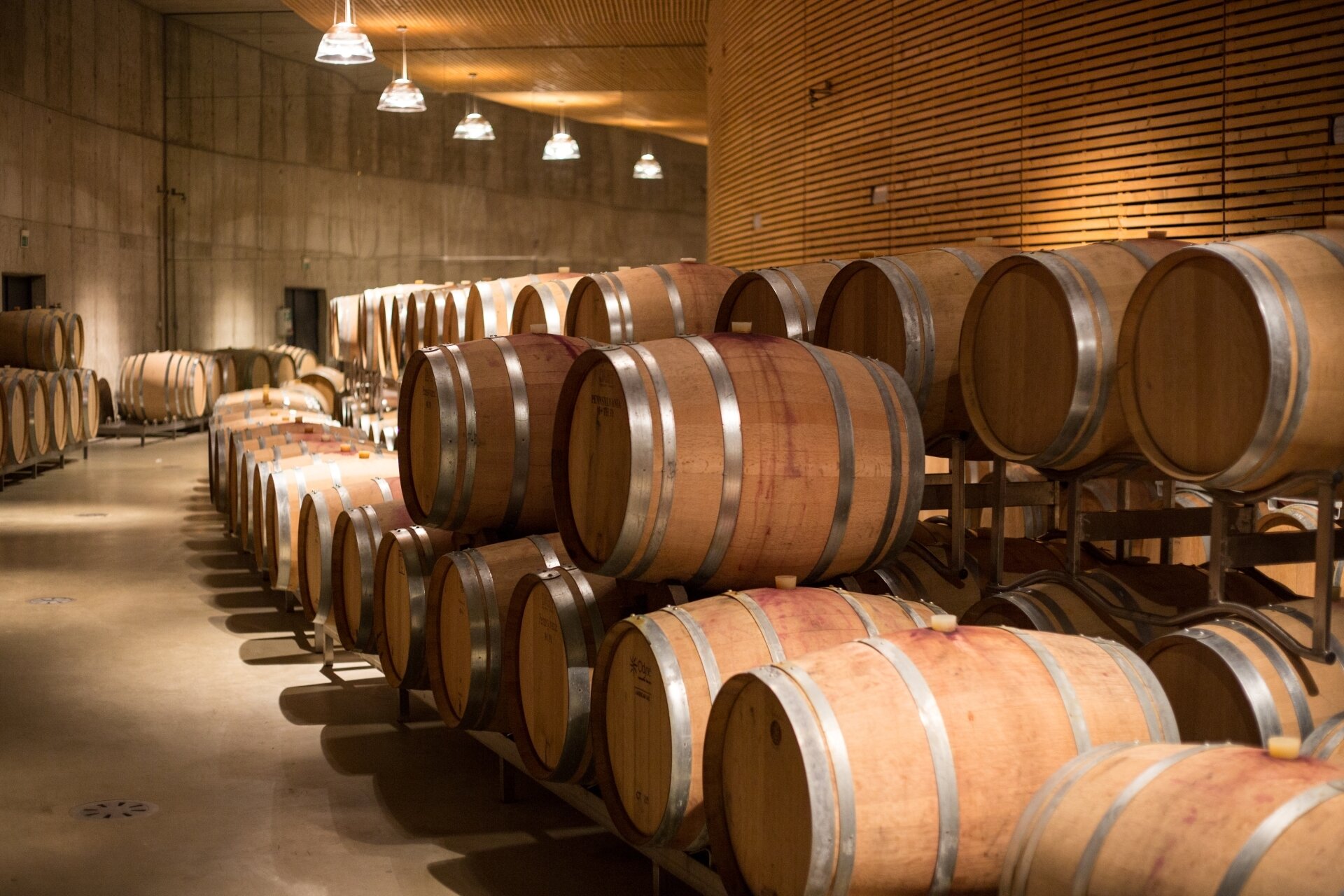 Content Dam Org 5 Images Full Rights Piana Rotaliana Shopping Cantine E Distillerie Maso Poli 2018 12 Natale In Cantina Ph Alfredo Croce 39