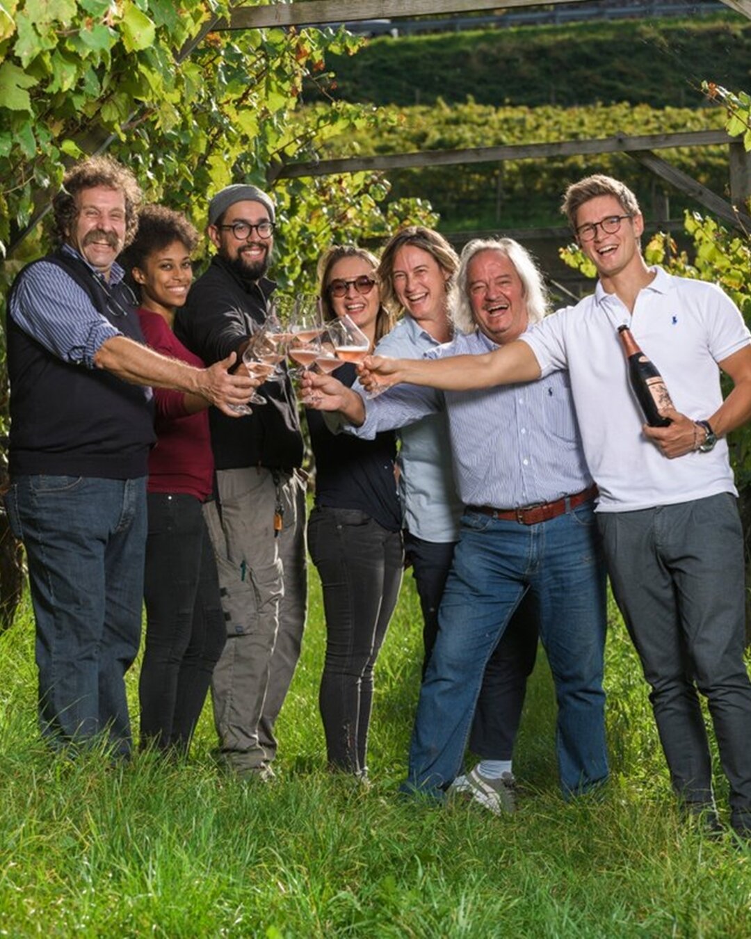 Pojer e Sandri Winery