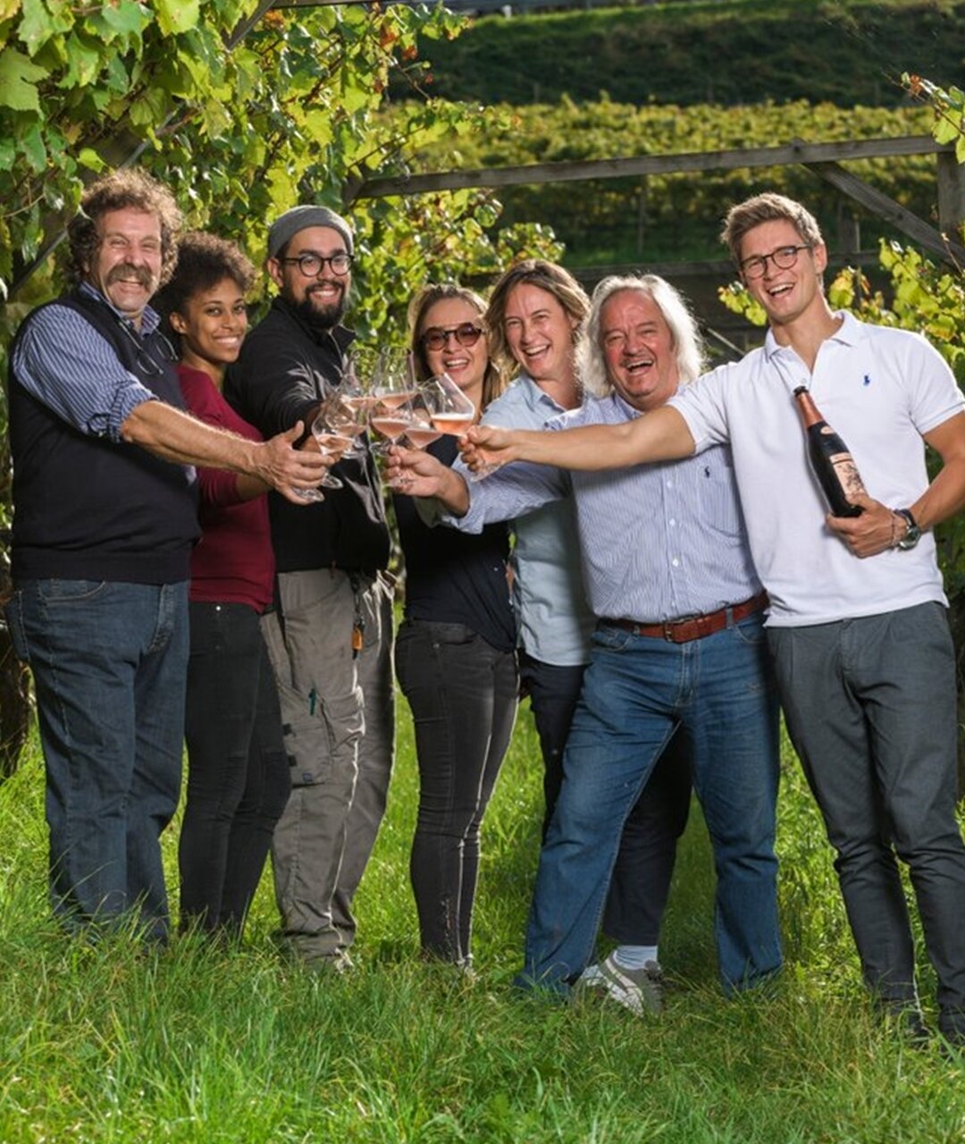 Pojer e Sandri Winery