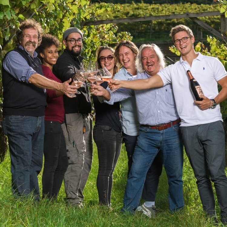 Pojer e Sandri Winery