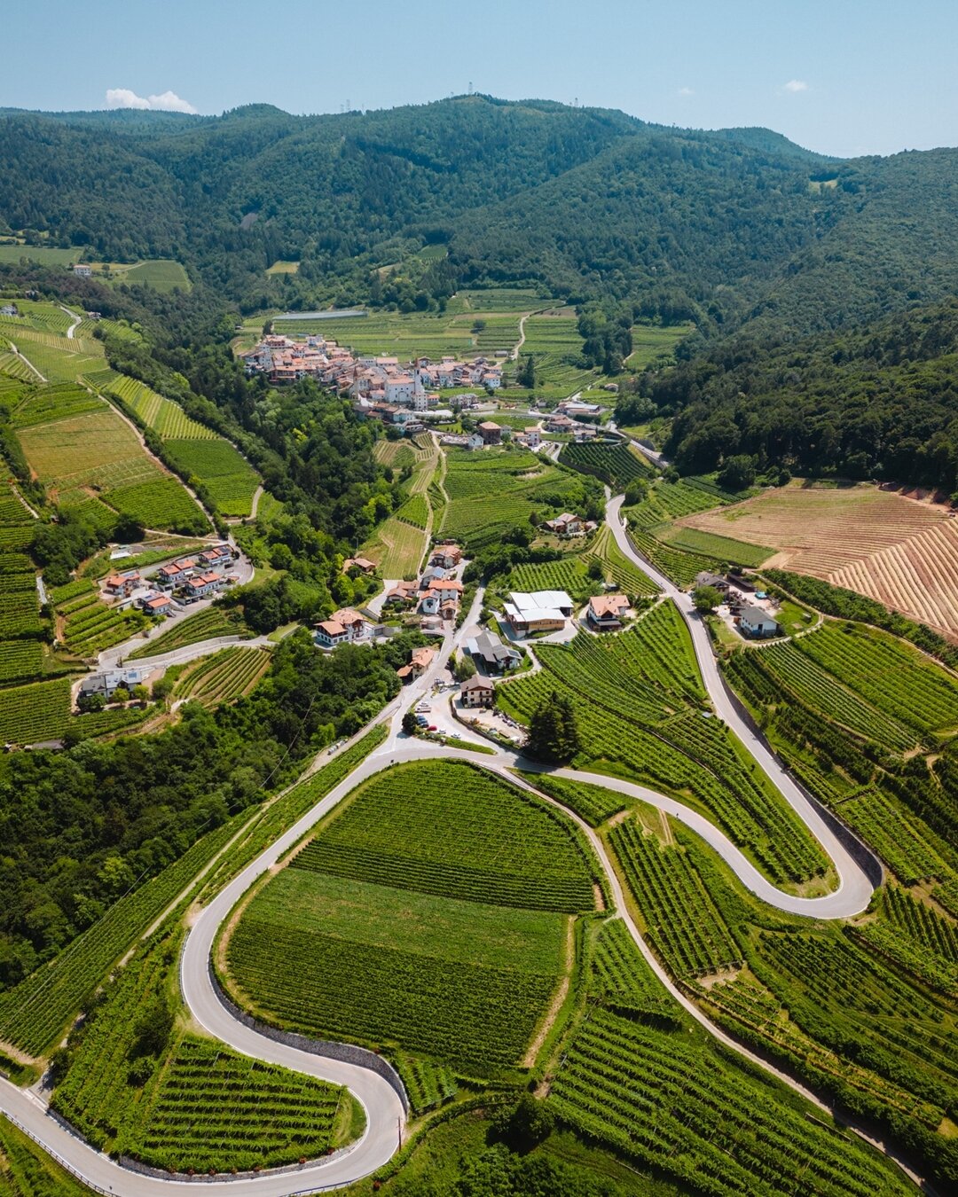 Content Dam Org 5 Images Full Rights Piana Rotaliana Shopping Cantine E Distillerie Pojer E Sandri Faedo Rotaliana