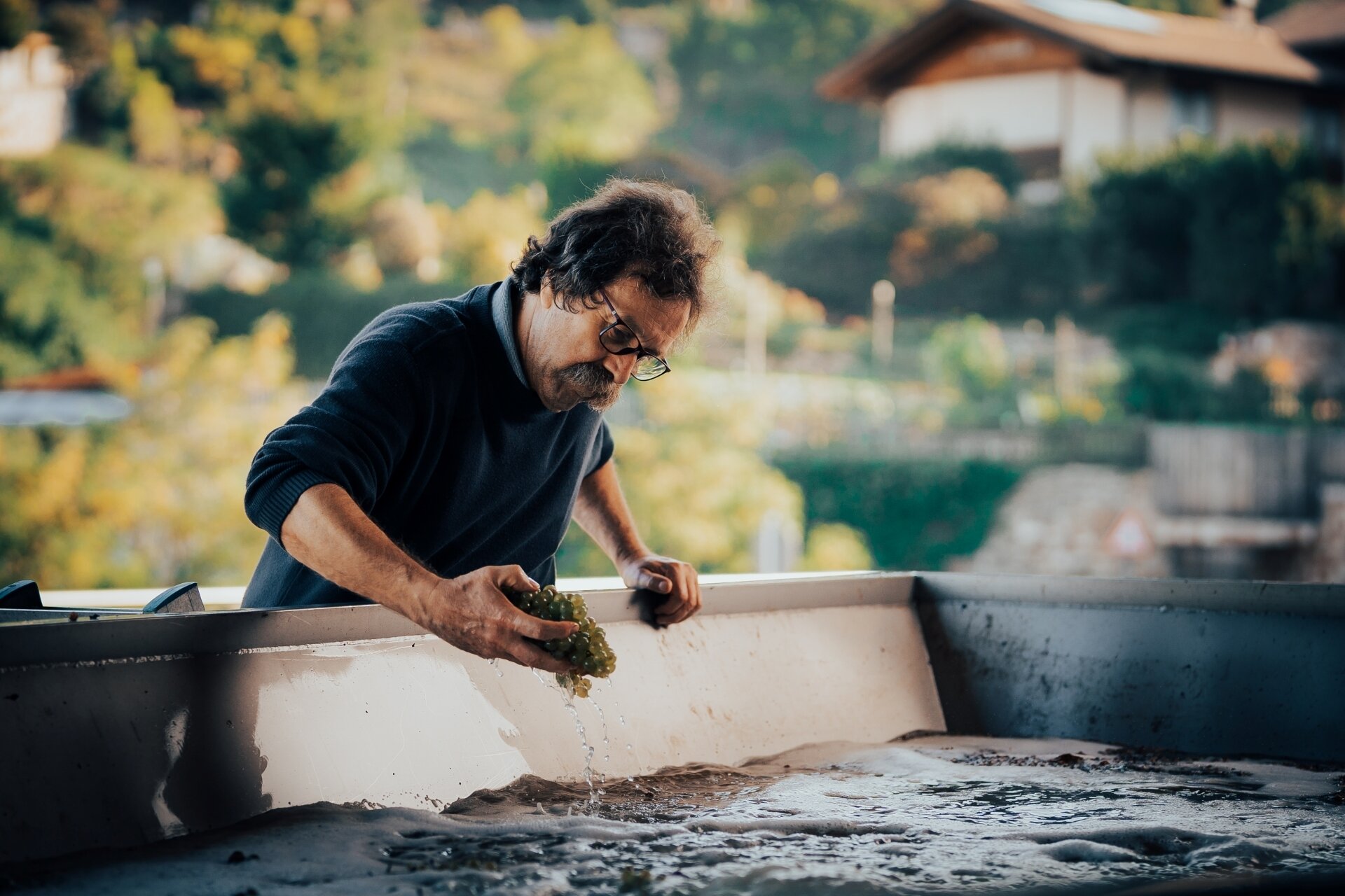 Content Dam Org 5 Images Full Rights Piana Rotaliana Shopping Cantine E Distillerie Pojer E Sandri Pojer E Sandri 3