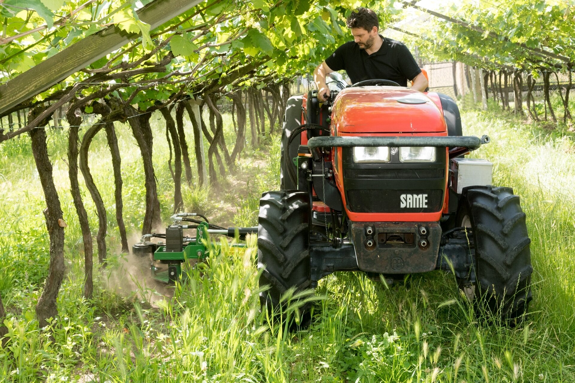 Content Dam Org 5 Images Full Rights Piana Rotaliana Shopping Cantine E Distillerie Piccola Azienda Agricola Redondel Redondel 3