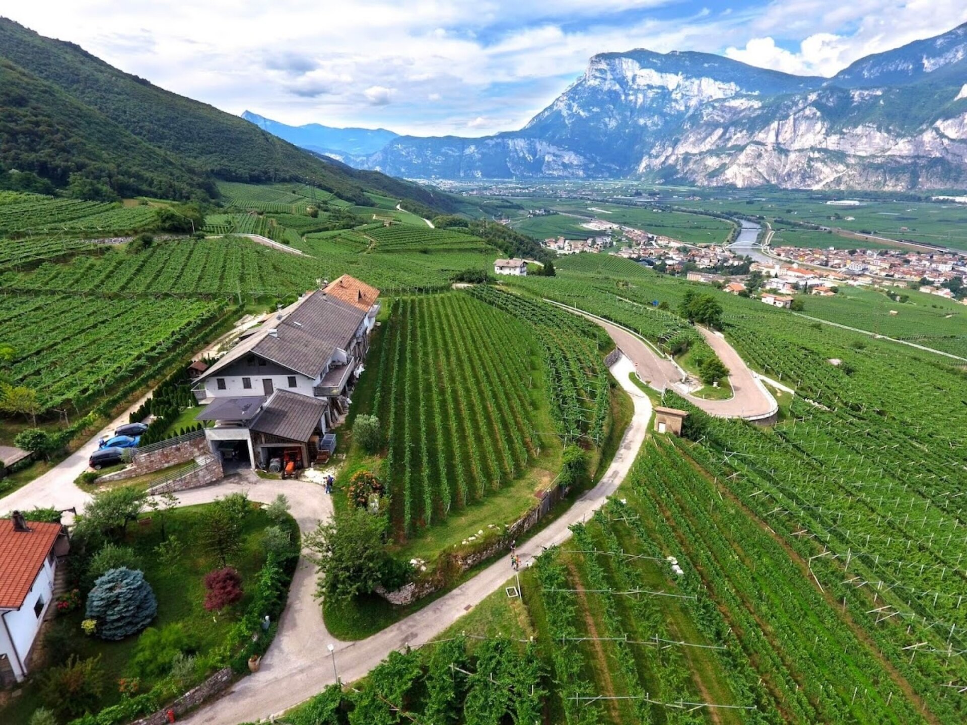 Content Dam Org 5 Images Full Rights Piana Rotaliana Shopping Cantine E Distillerie Villa Piccola Villa Piccola 1