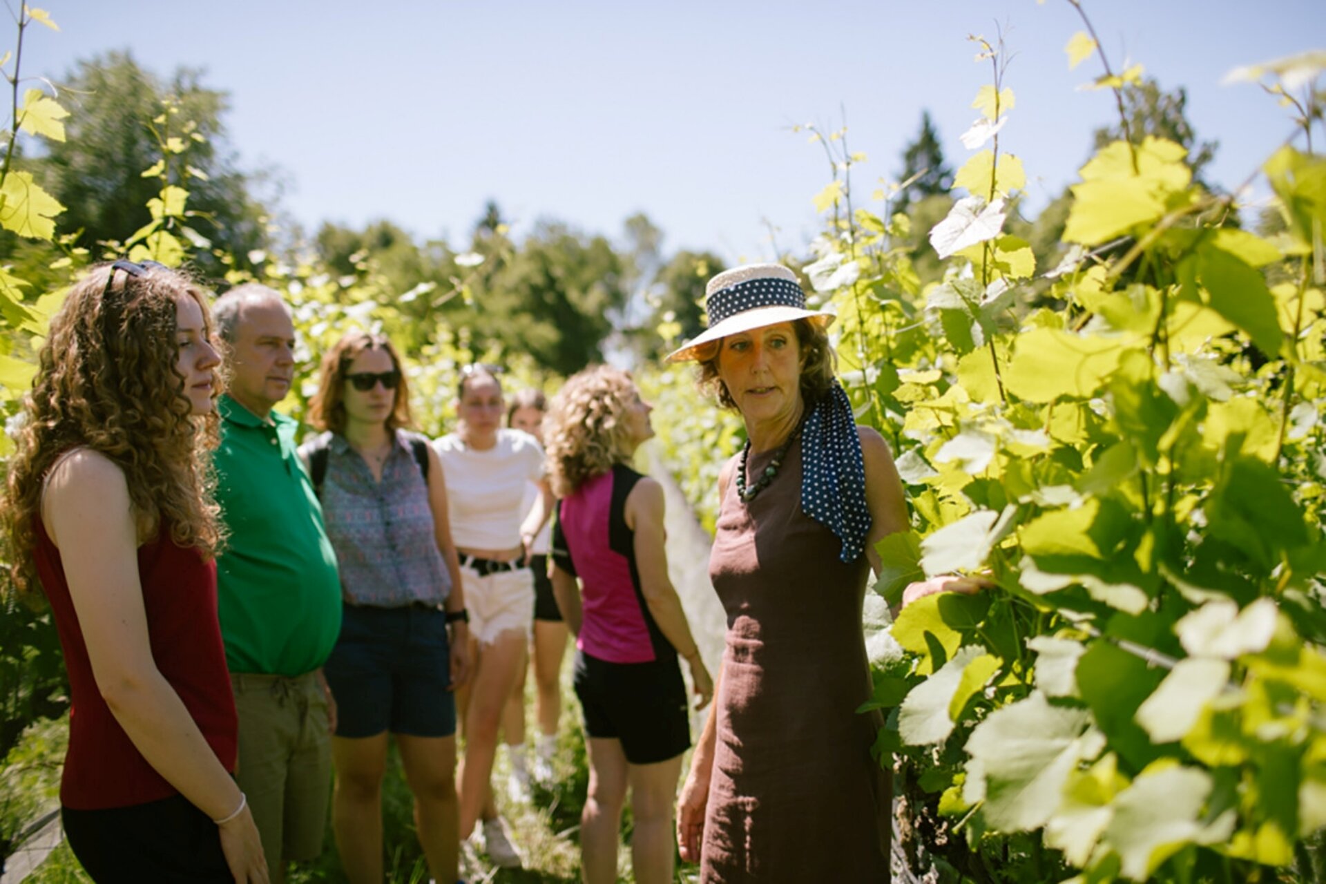 Content Dam Org 5 Images Full Rights Piana Rotaliana Shopping Cantine E Distillerie Nadia Viola Visita Vigneto Nadia Viola