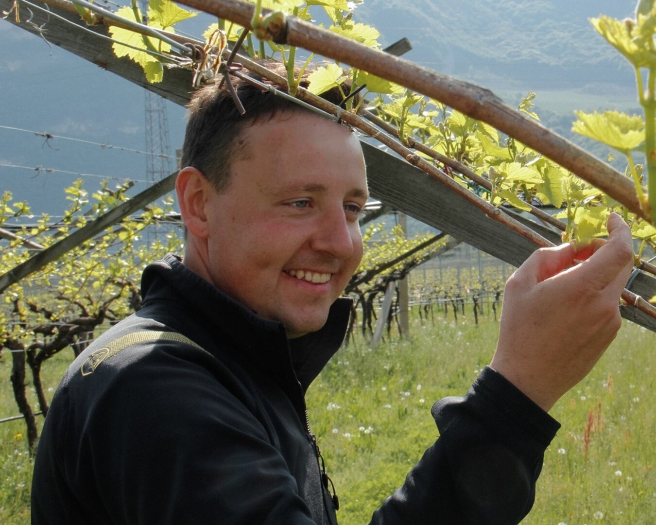 Breccia Winery