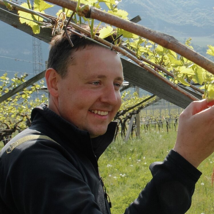 Breccia Winery