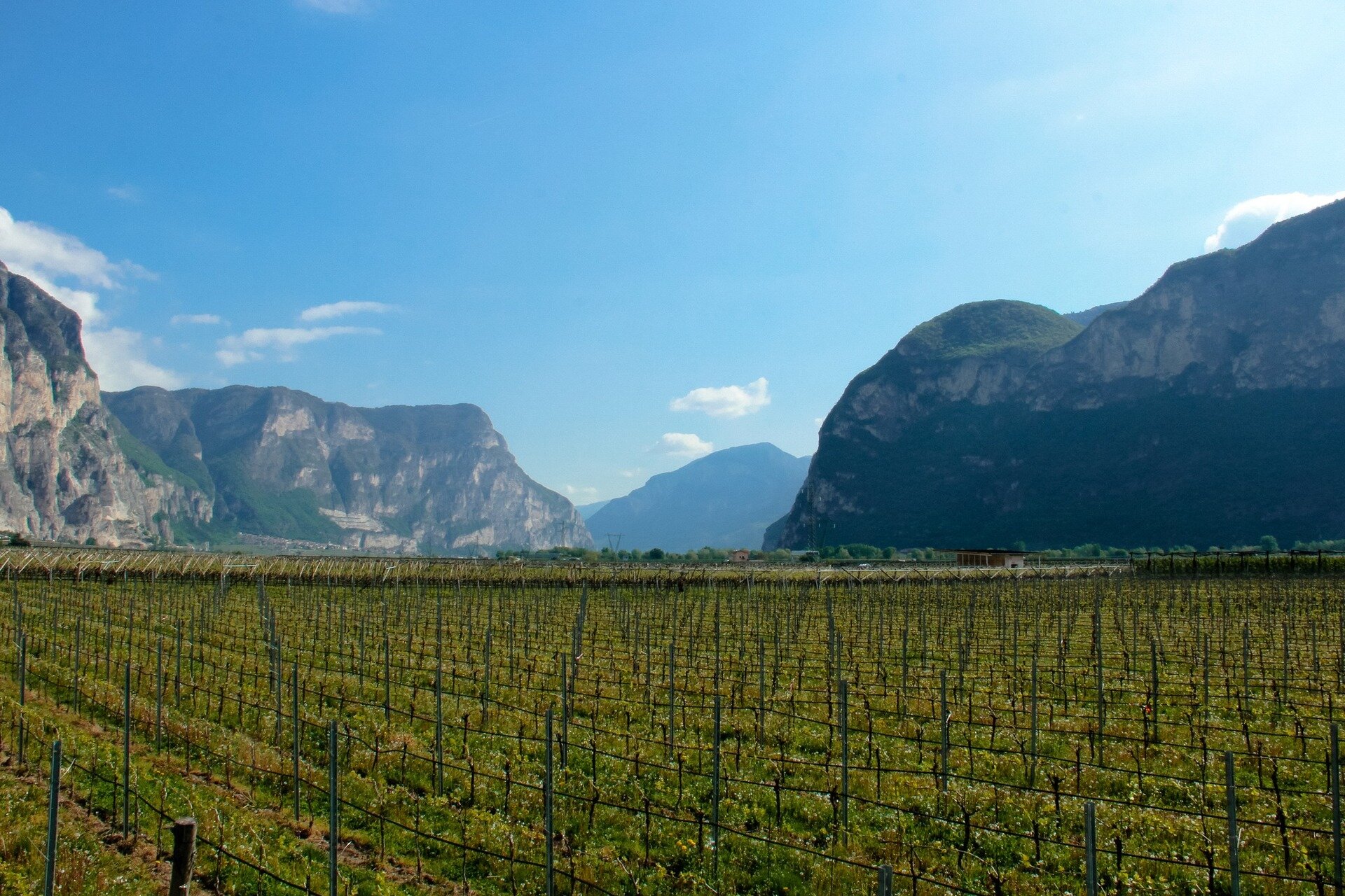 Content Dam Org 5 Images Full Rights Piana Rotaliana Shopping Cantine E Distillerie Breccia Cantina Breccia Esterno Piana Rotaliana 3