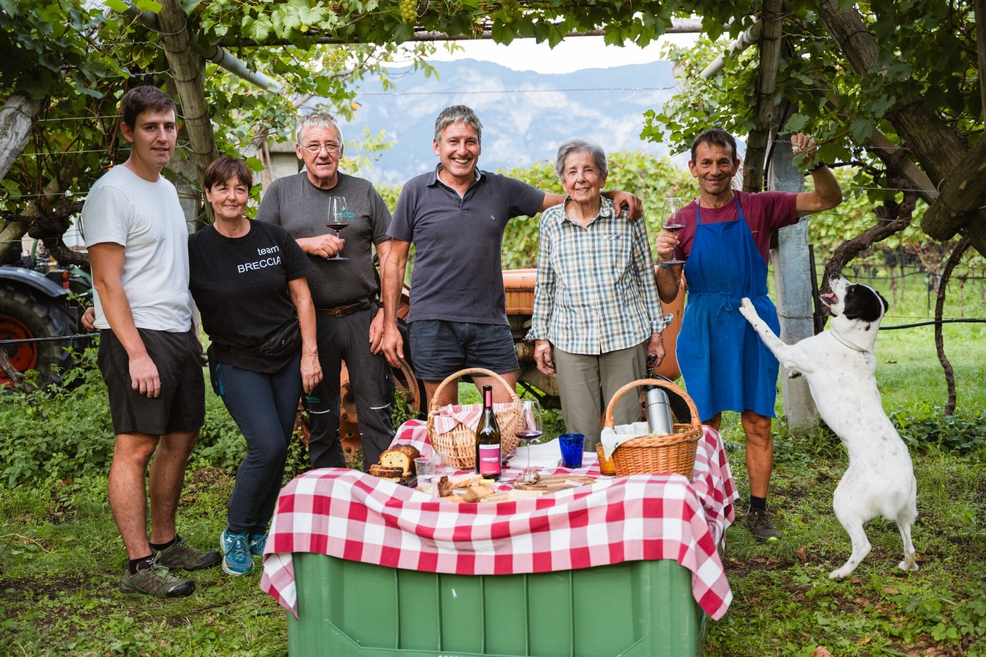 Content Dam Org 5 Images Full Rights Piana Rotaliana Shopping Cantine E Distillerie Breccia 2024 09 25 Vendemmia Ph Nicola Cagol 42