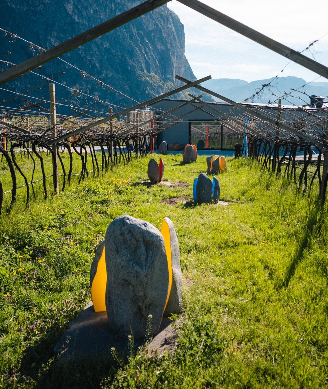 Cantina De Vigili