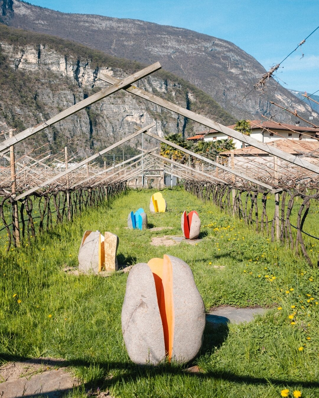 Content Dam Org 5 Images Full Rights Piana Rotaliana Shopping Cantine E Distillerie Cantina De Vigili Cantina De Vigili Rotaliana Sculture2