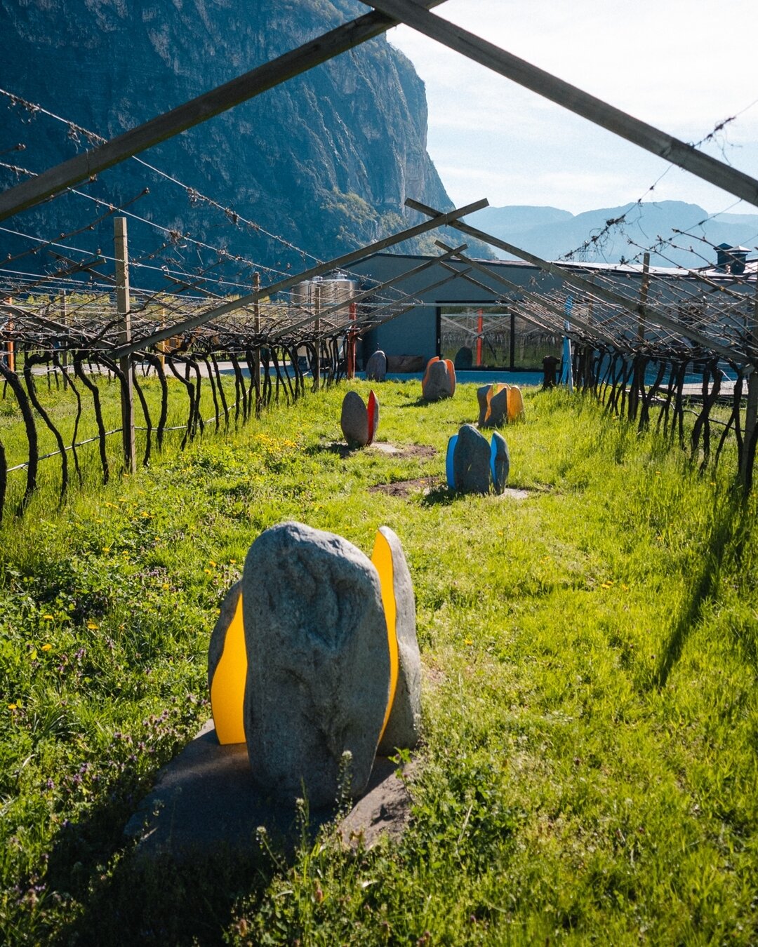 Content Dam Org 5 Images Full Rights Piana Rotaliana Shopping Cantine E Distillerie Cantina De Vigili Cantina De Vigili Rotaliana Sculture