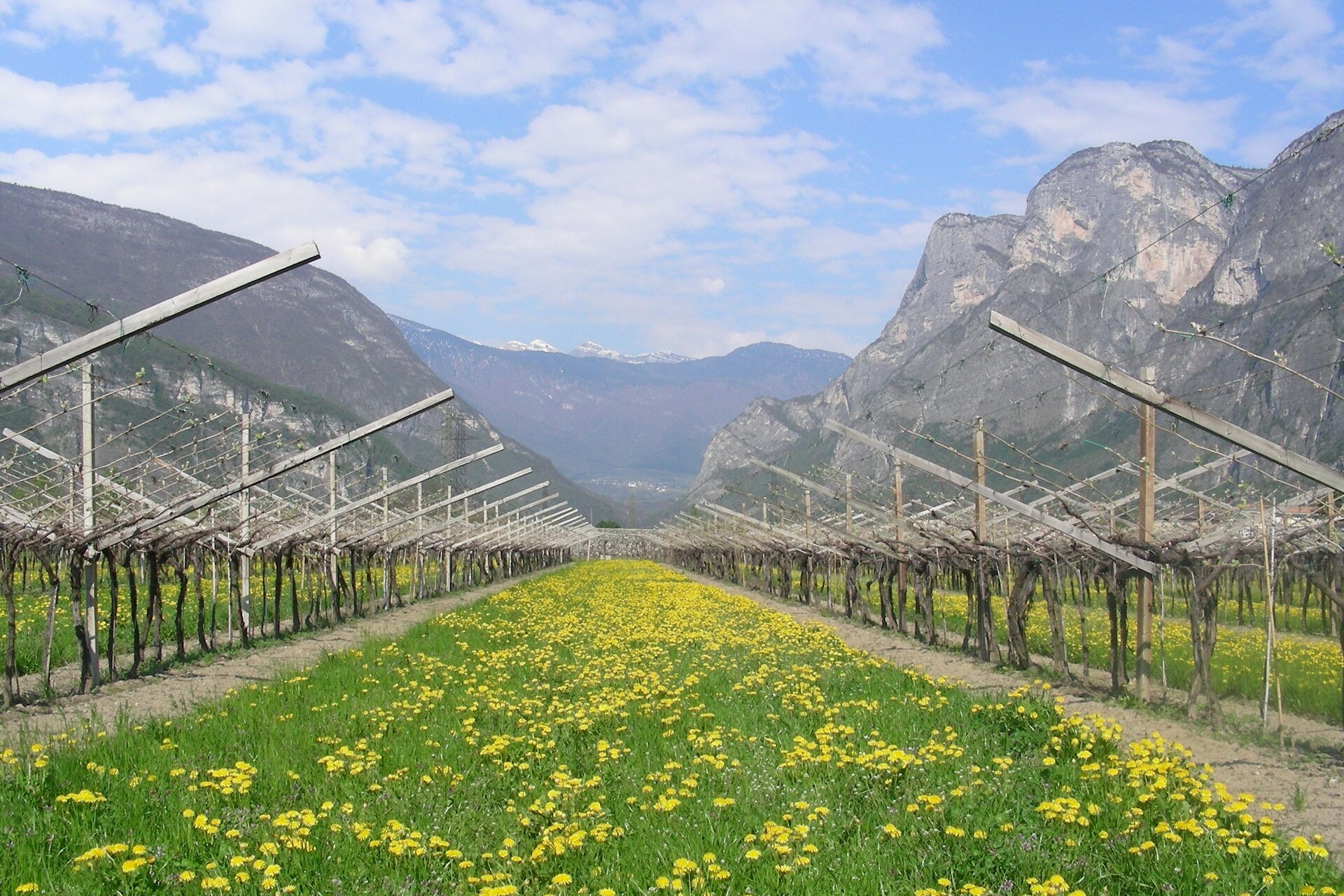 Weingut Donati Marco