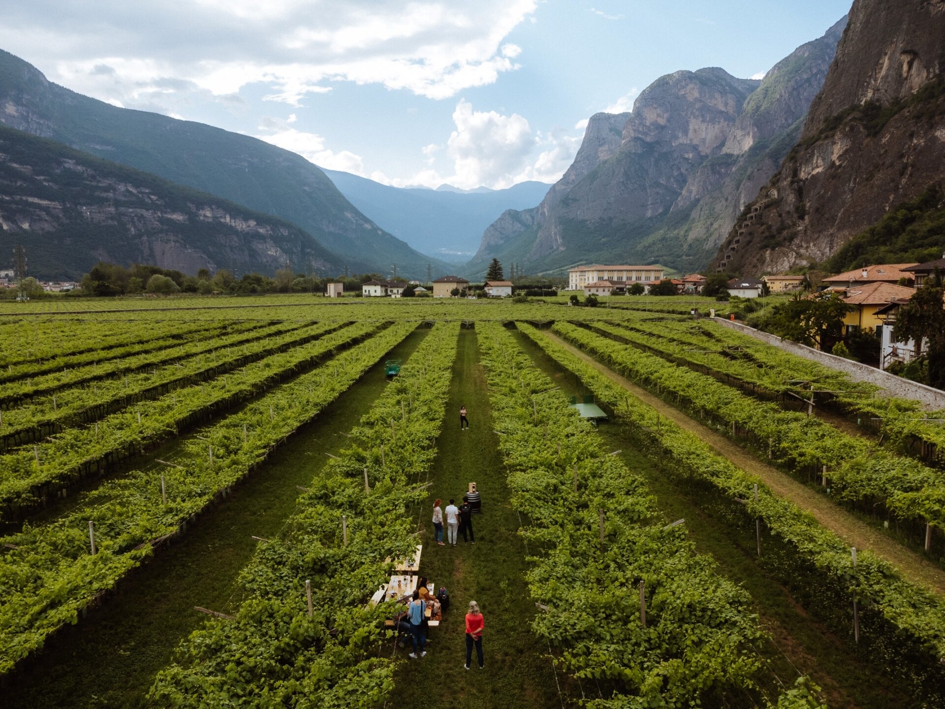 Content Dam Org 5 Images Full Rights Piana Rotaliana Shopping Cantine E Distillerie Cantina Donati Marco 2022 Esperienza Cantina Donati Ph Nicola Cagol 11