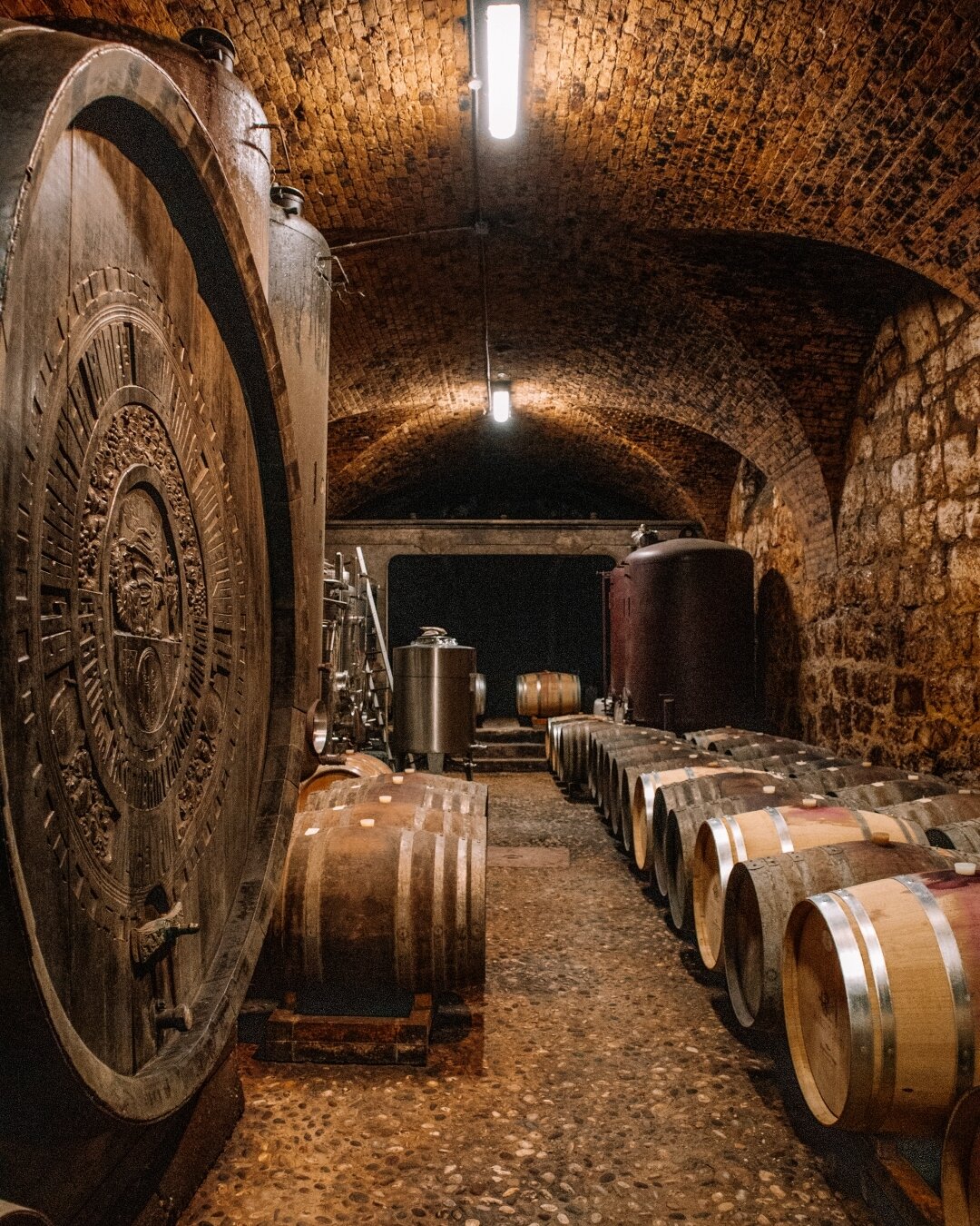 Content Dam Org 5 Images Full Rights Piana Rotaliana Shopping Cantine E Distillerie Cantina Donati Marco 2022 Ph Anna Pernice 14