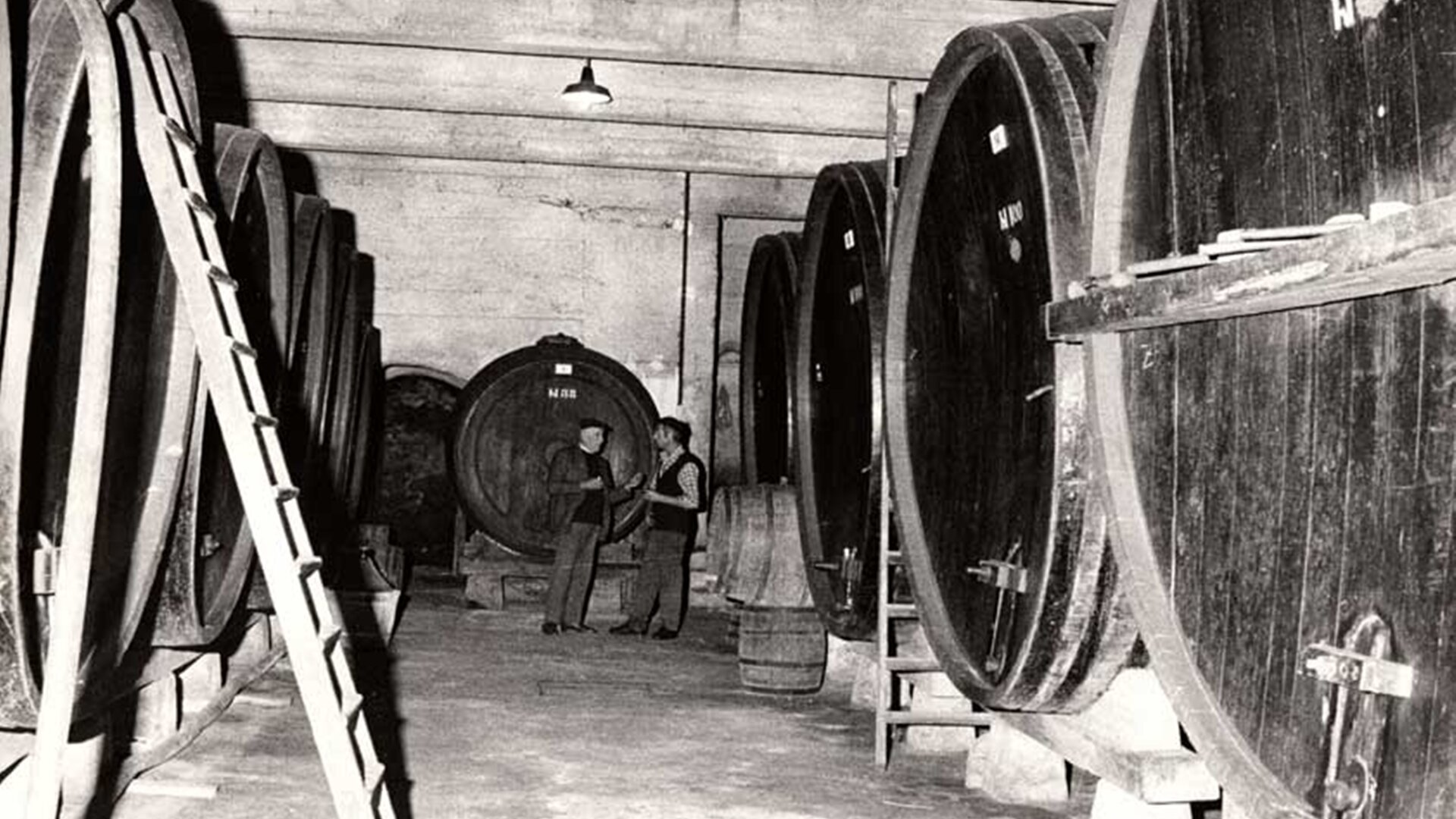 Content Dam Org 5 Images Full Rights Piana Rotaliana Shopping Cantine E Distillerie Endrizzi Elio Az Agr Endrizzi Elio E Fratelli Piana Rotaliana