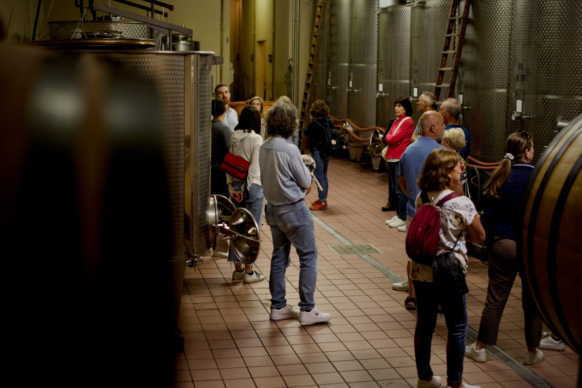 Content Dam Org 5 Images Full Rights Piana Rotaliana Shopping Cantine E Distillerie Endrizzi Elio 2023 Visita Cantina Endrizzi Elio Ph Lara Sicher 4