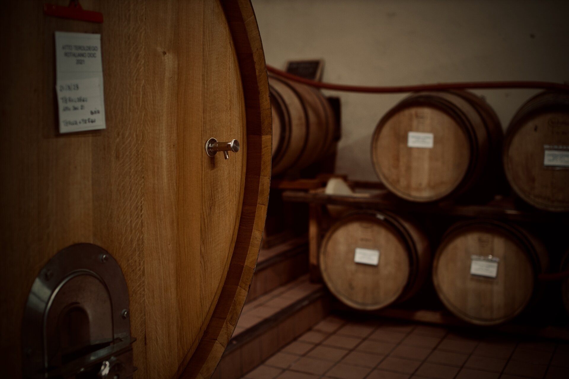 Content Dam Org 5 Images Full Rights Piana Rotaliana Shopping Cantine E Distillerie Endrizzi Elio 2023 Visita Cantina Endrizzi Elio Ph Lara Sicher 6