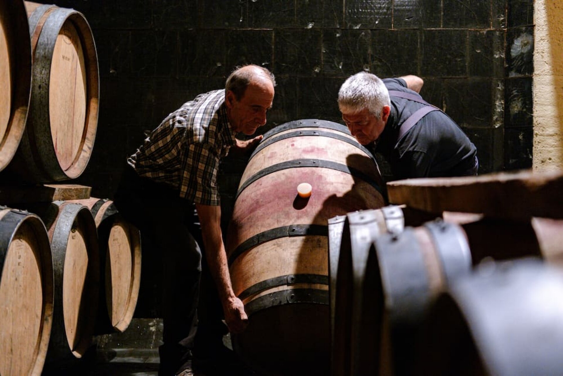 Content Dam Org 5 Images Full Rights Piana Rotaliana Shopping Cantine E Distillerie Endrizzi Elio Endrizzi Elio E Flli 7