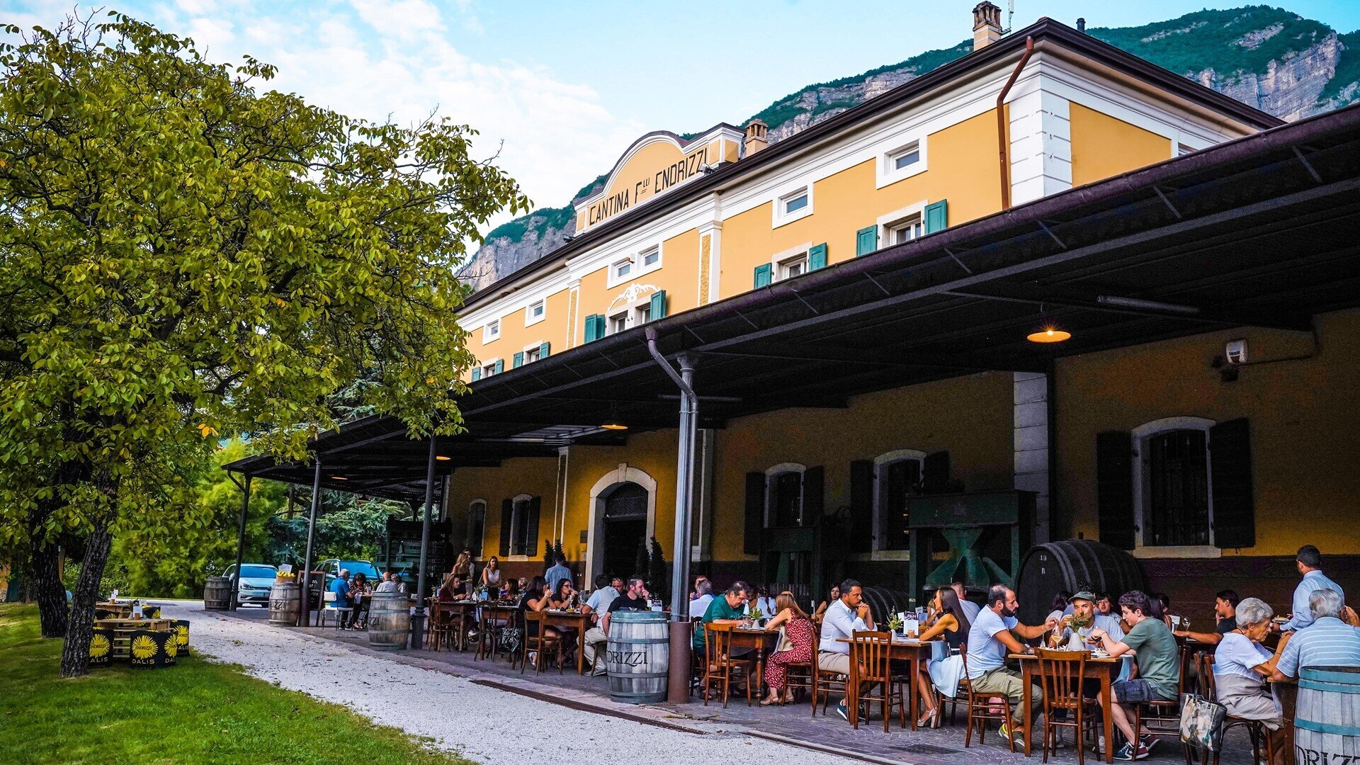 Content Dam Org 5 Images Full Rights Piana Rotaliana Shopping Cantine E Distillerie Cantina Endrizzi Cantina Endrizzi Estate Rotaliana