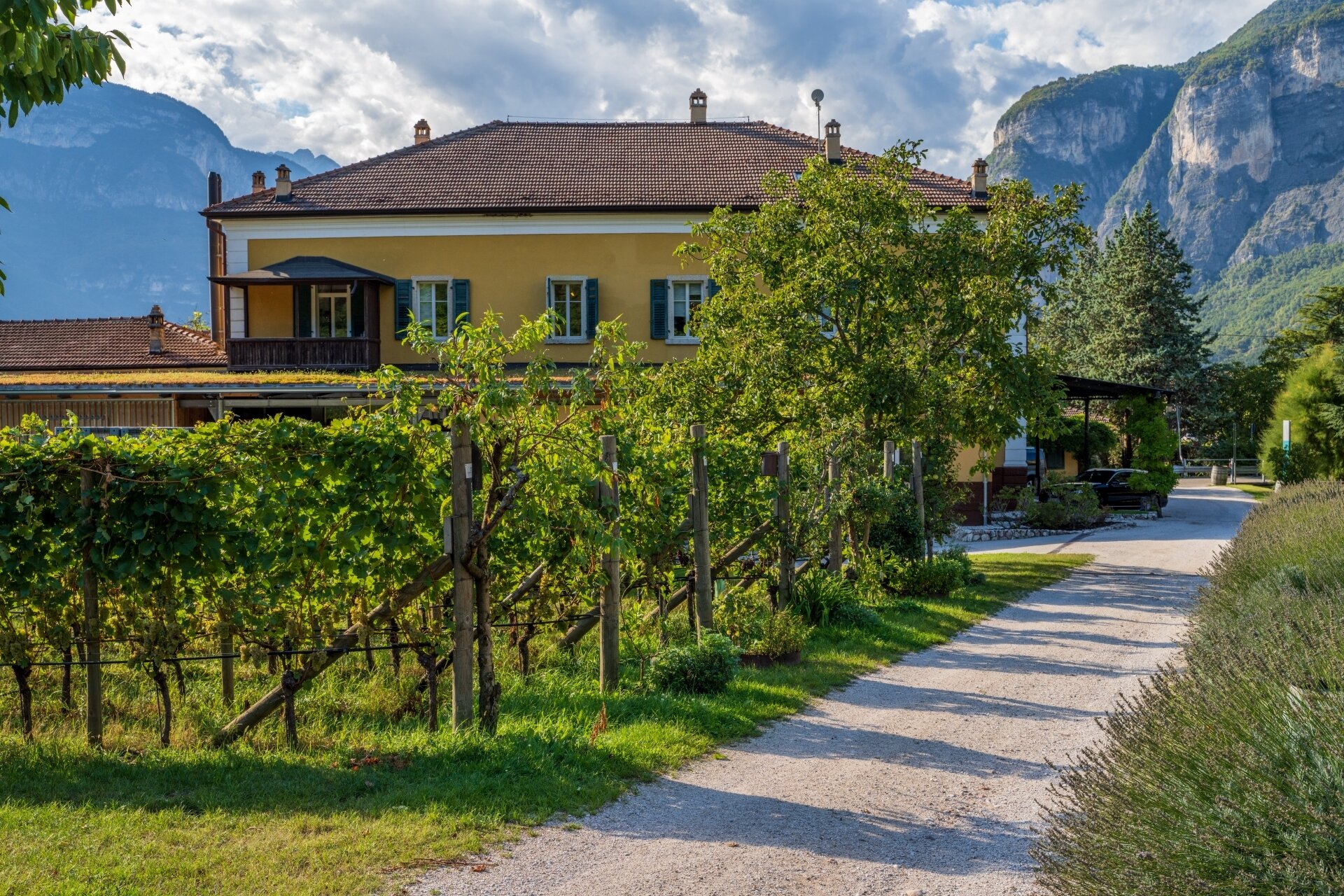 Content Dam Org 5 Images Full Rights Piana Rotaliana Shopping Cantine E Distillerie Cantina Endrizzi 2021 Ph Giorgio Monticelli 43