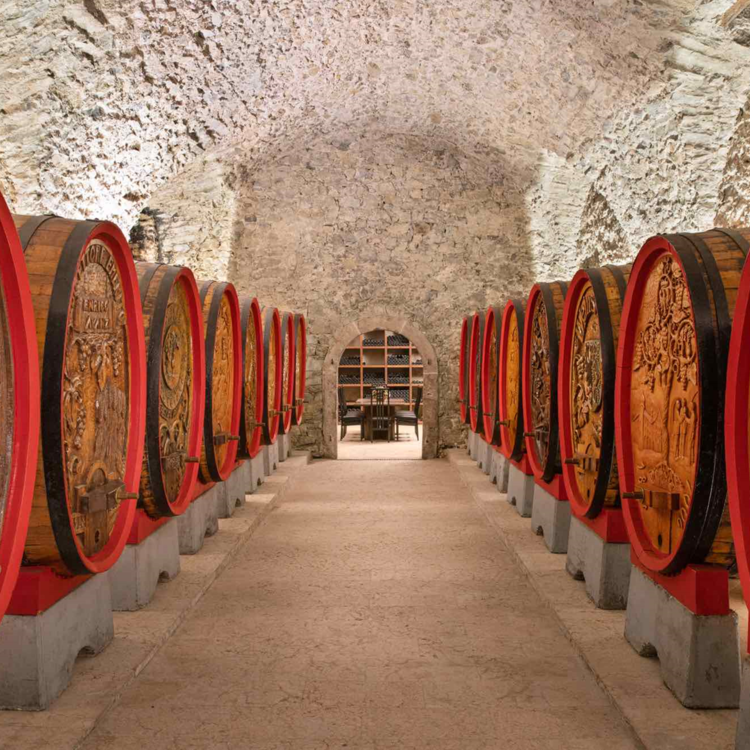 Cantina Fondazione Edmund Mach