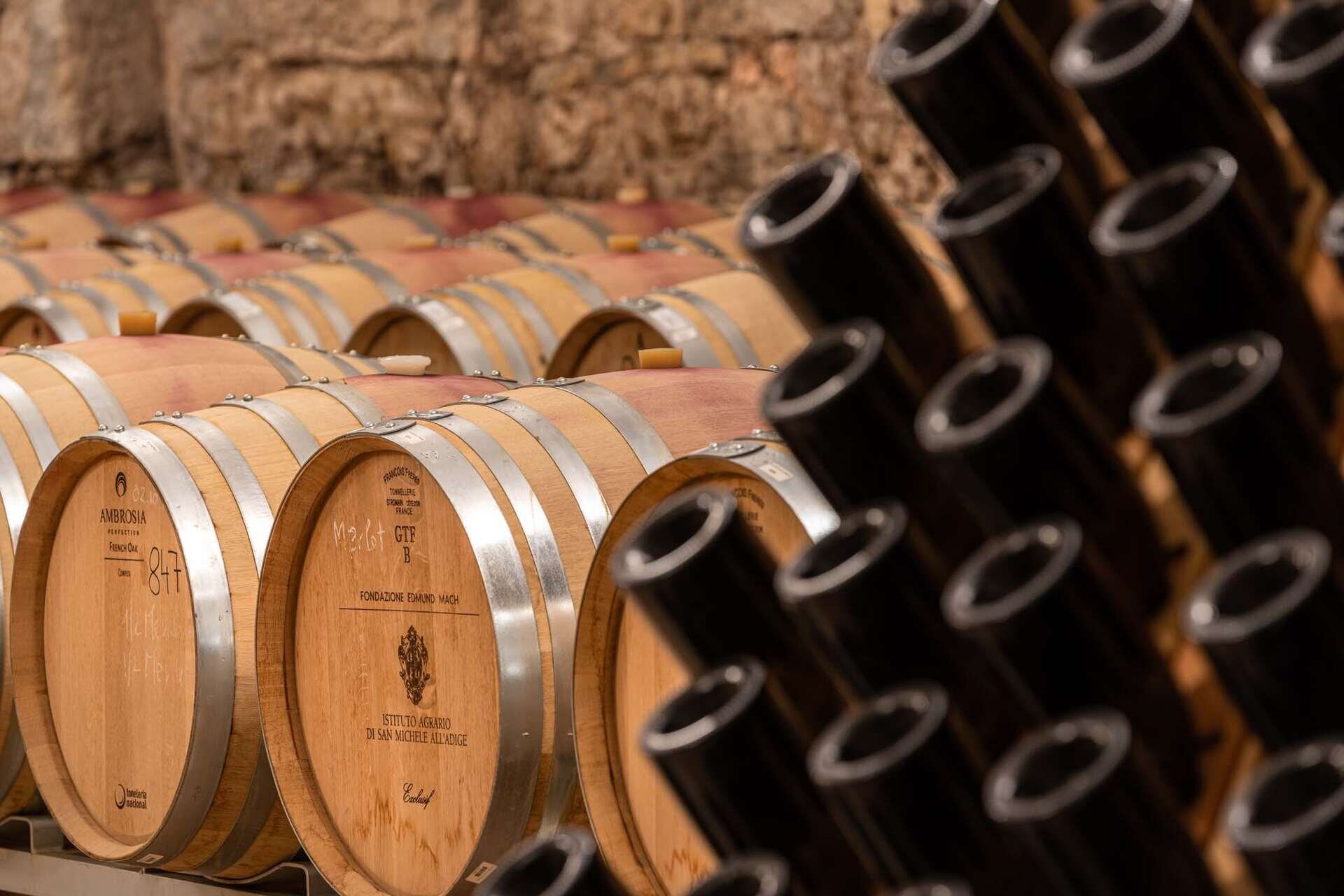 Content Dam Org 5 Images Full Rights Piana Rotaliana Shopping Cantine E Distillerie Fondazione Mach Cantina Fondazione Edmund Mach