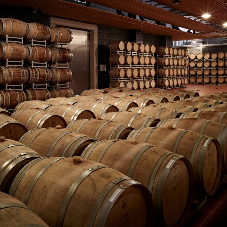 LaVis and Valle di Cembra Winery