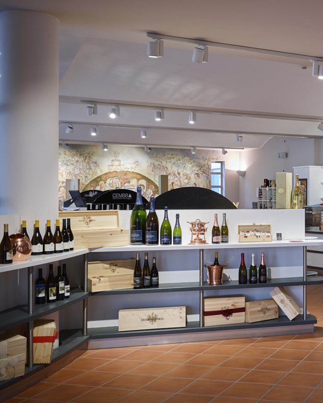 Content Dam Org 5 Images Full Rights Piana Rotaliana Shopping Cantine E Distillerie Cantina La Vis Rotaliana Cantinalavis Ph Andrea Tomasi