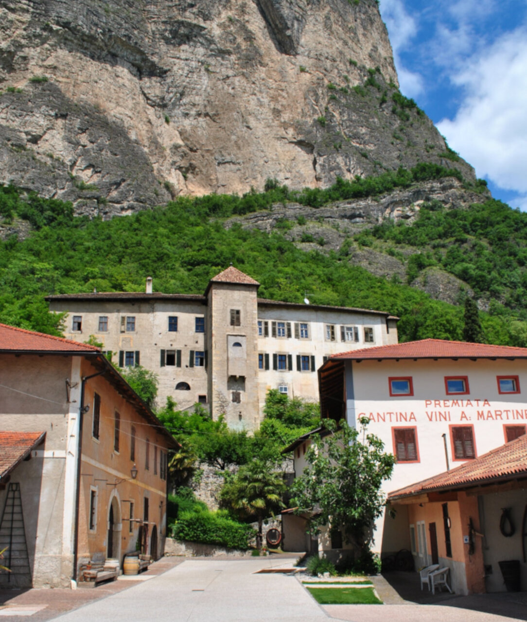 Cantina Martinelli