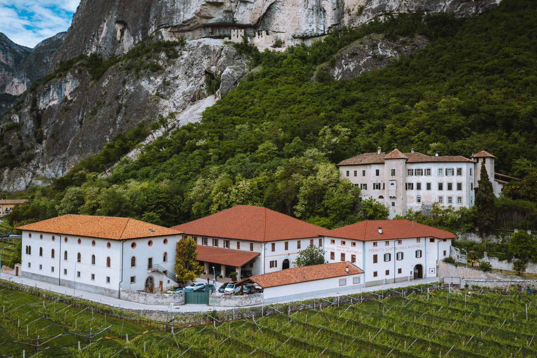 Content Dam Org 5 Images Full Rights Piana Rotaliana Shopping Cantine E Distillerie Azienda Agricola A Martinelli 2021 Martinelli Ph Nicola Cagol 11