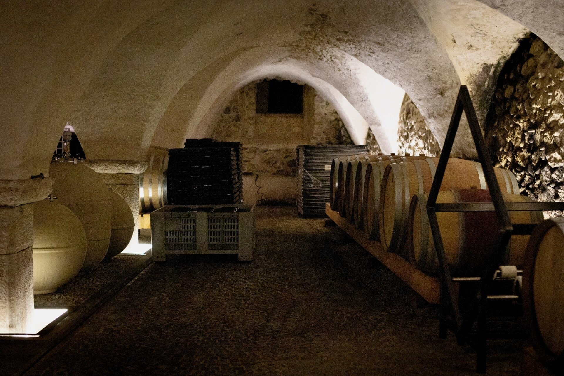 Content Dam Org 5 Images Full Rights Piana Rotaliana Shopping Cantine E Distillerie Azienda Agricola A Martinelli 2023 Visita Cantina Martinelli Ph Lara Sicher 3